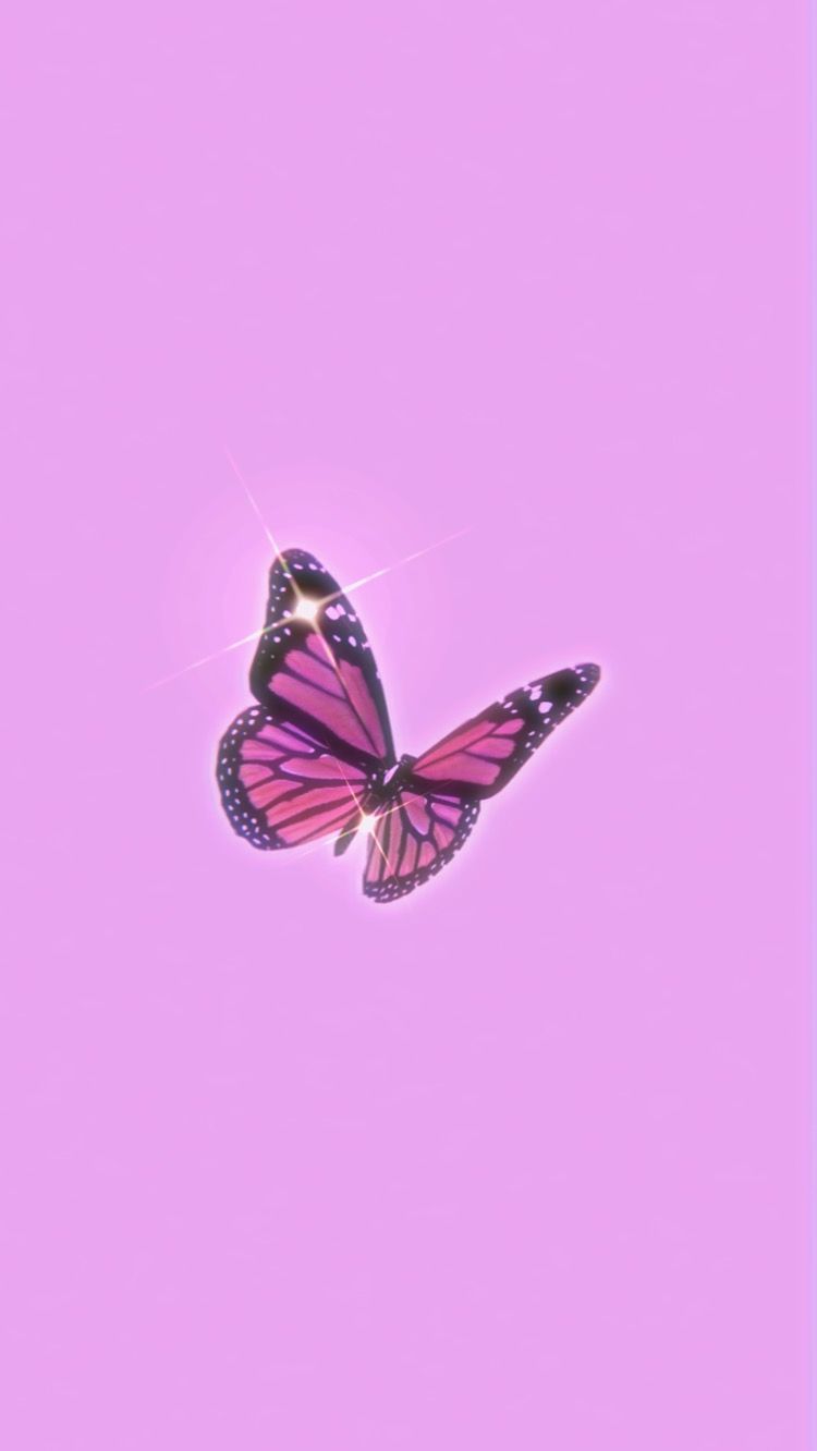 Purple Butterflies Wallpapers - 4k, HD Purple Butterflies Backgrounds ...