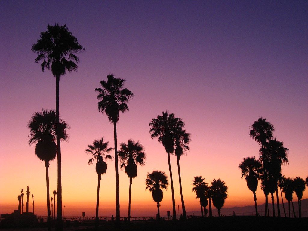 Venice Beach Wallpapers - 4k, HD Venice Beach Backgrounds on WallpaperBat