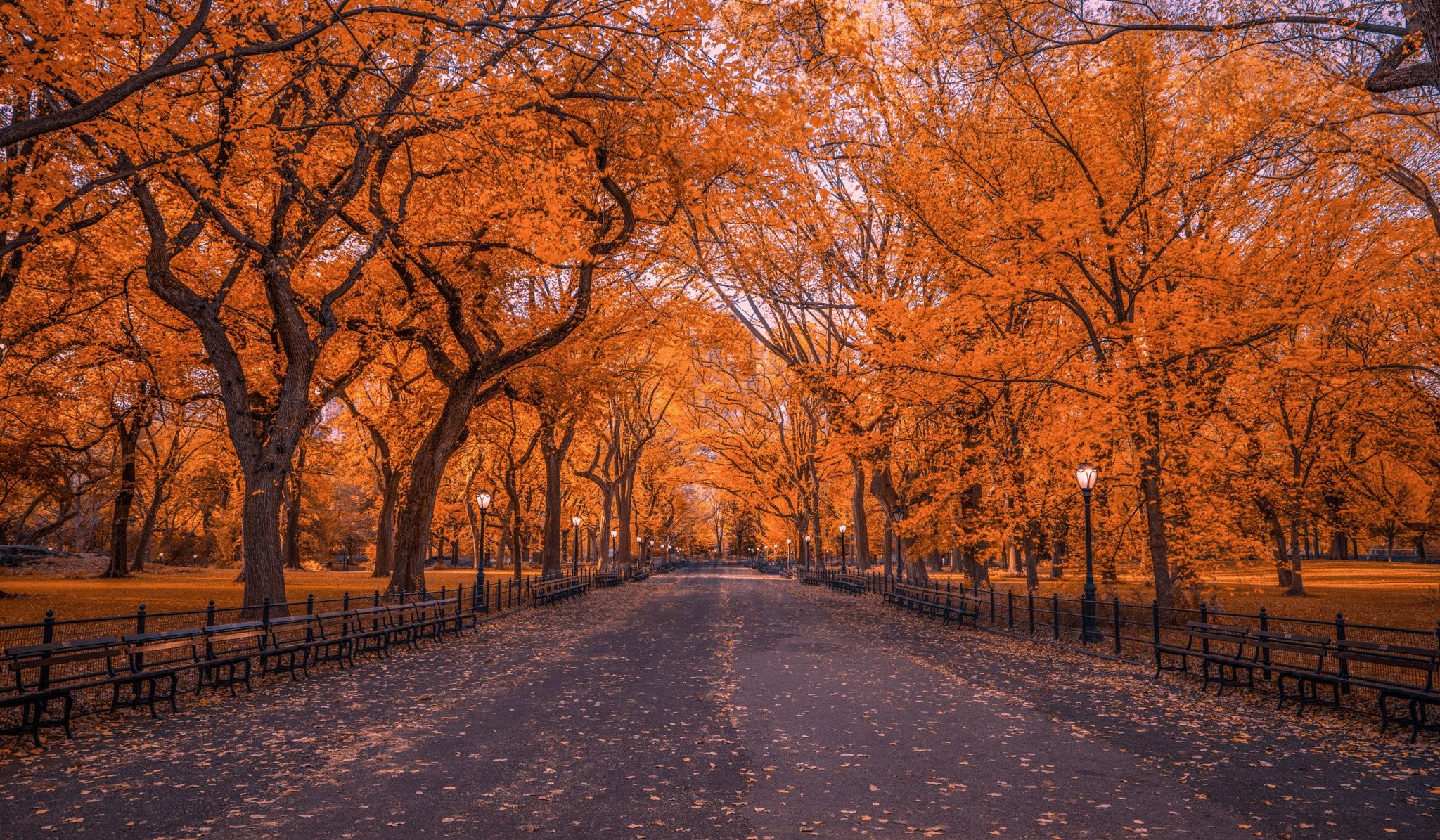 New York City Central Park Autumn Wallpapers - 4k, HD New York City