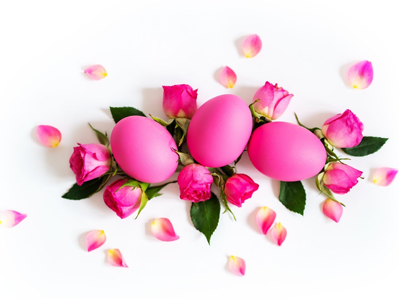 Easter Flowers Wallpapers - 4k, HD Easter Flowers Backgrounds on