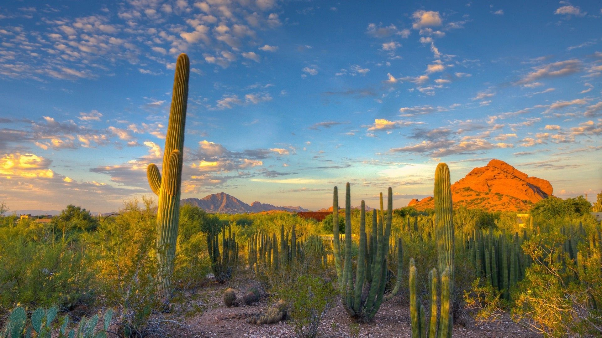 Tucson Mountain Sunset Wallpapers - 4k, HD Tucson Mountain Sunset 