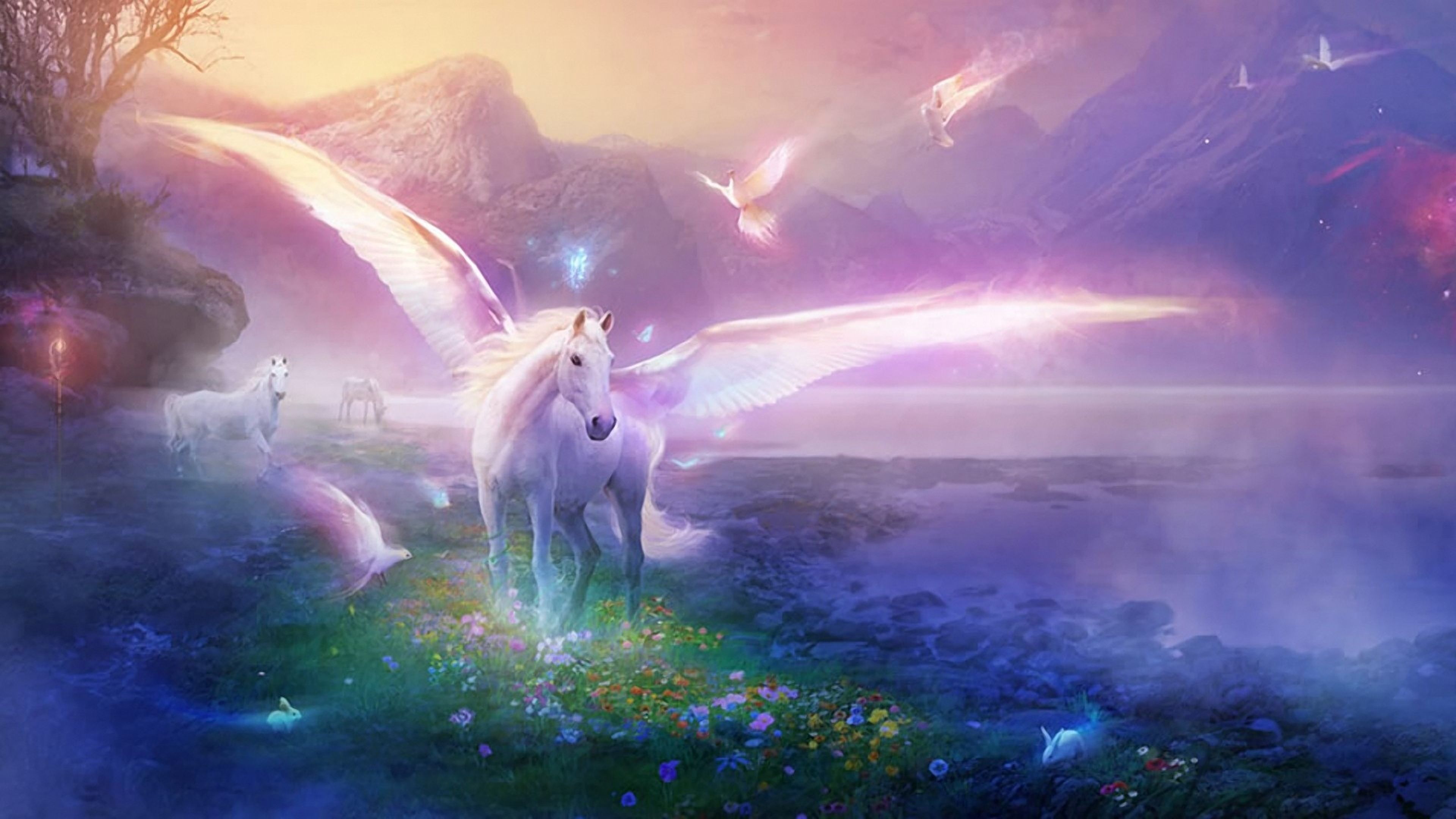 Unicorns and Fairies Wallpapers - 4k, HD Unicorns and Fairies ...