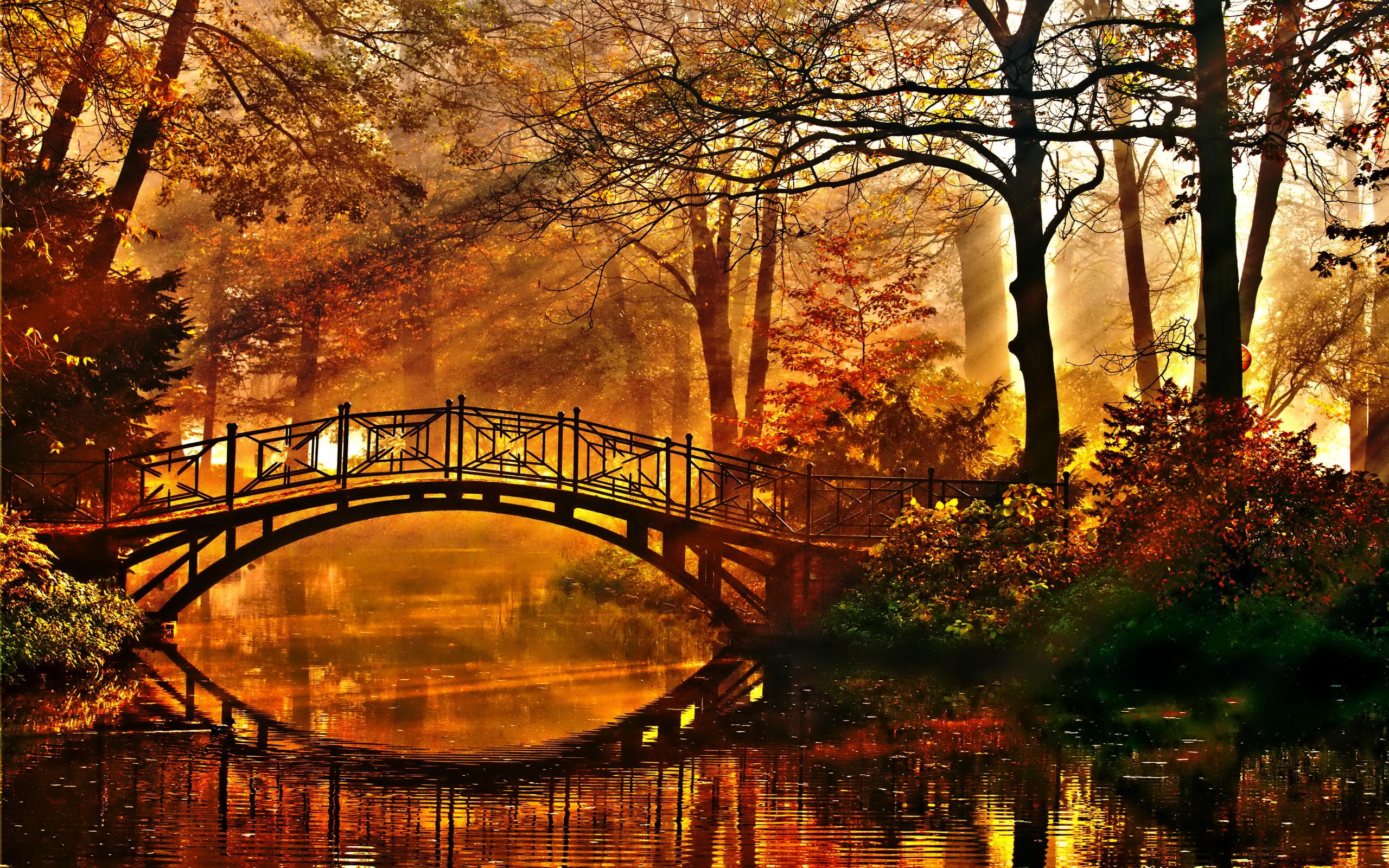 2560x1600 Autumn Bridge And Trees Wallpapers - Wallpaper Cave Wallpaper