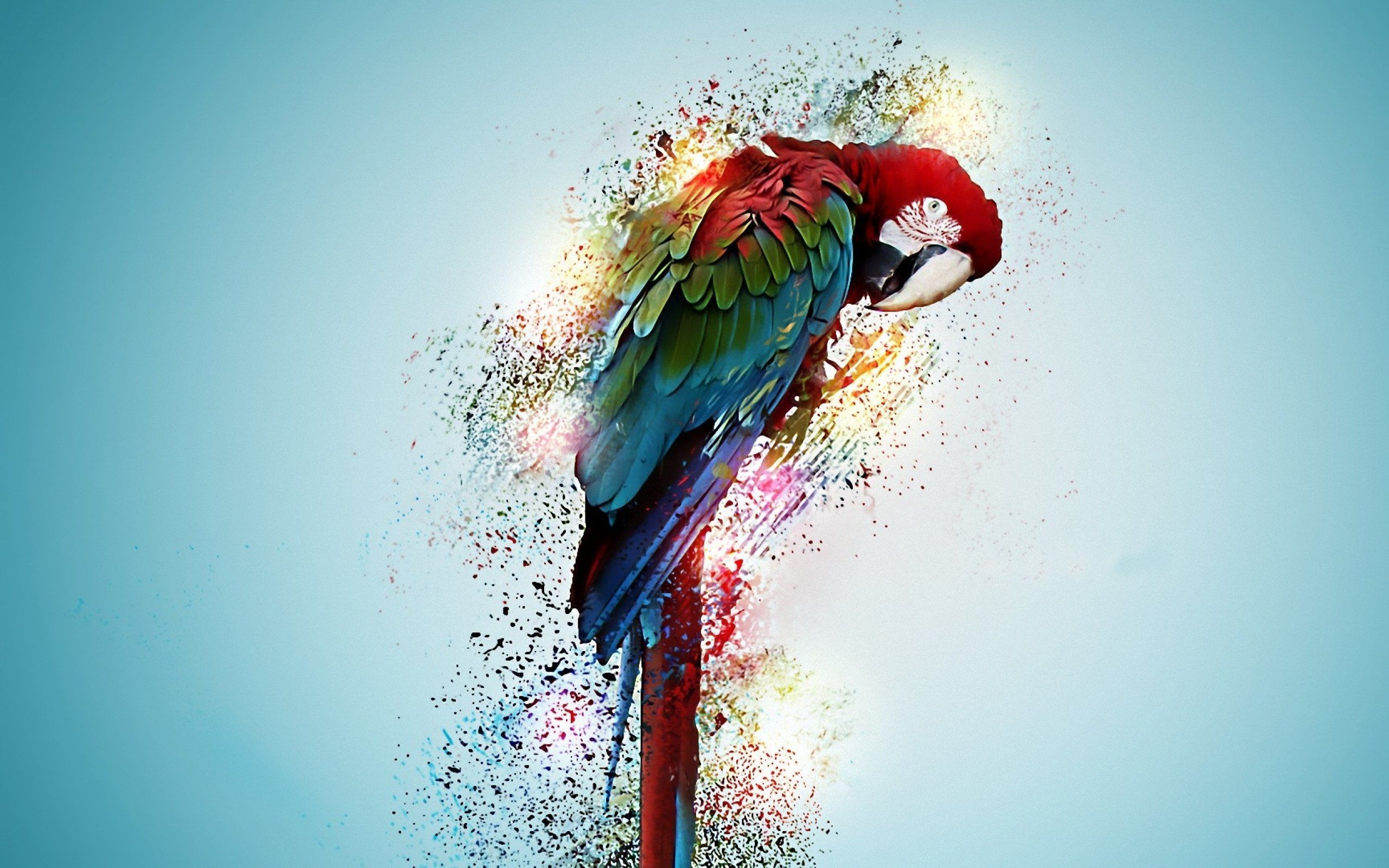 Bird Art Wallpapers - 4k, HD Bird Art Backgrounds on WallpaperBat