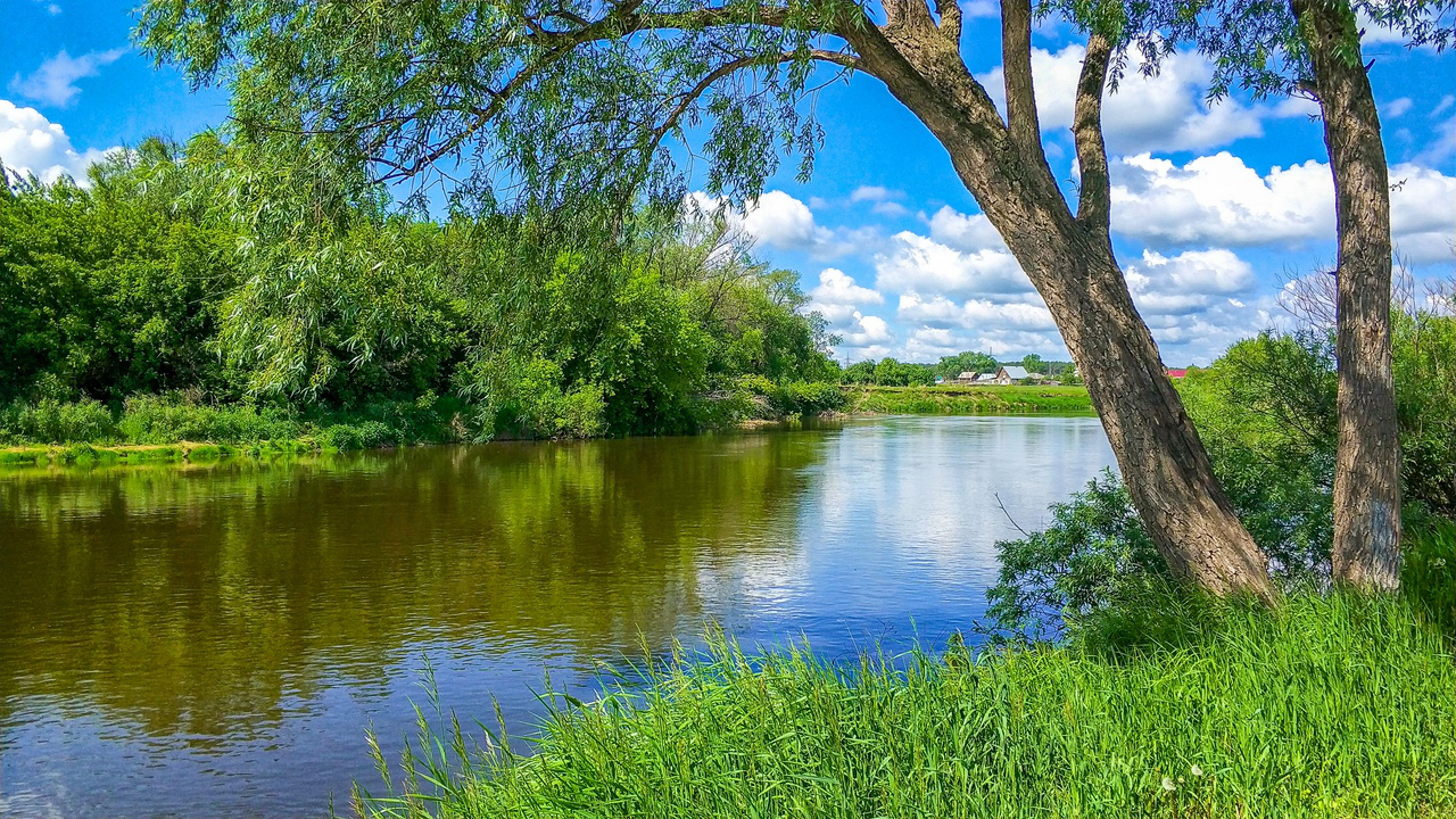 Фото Природа Летом У Реки В Деревне