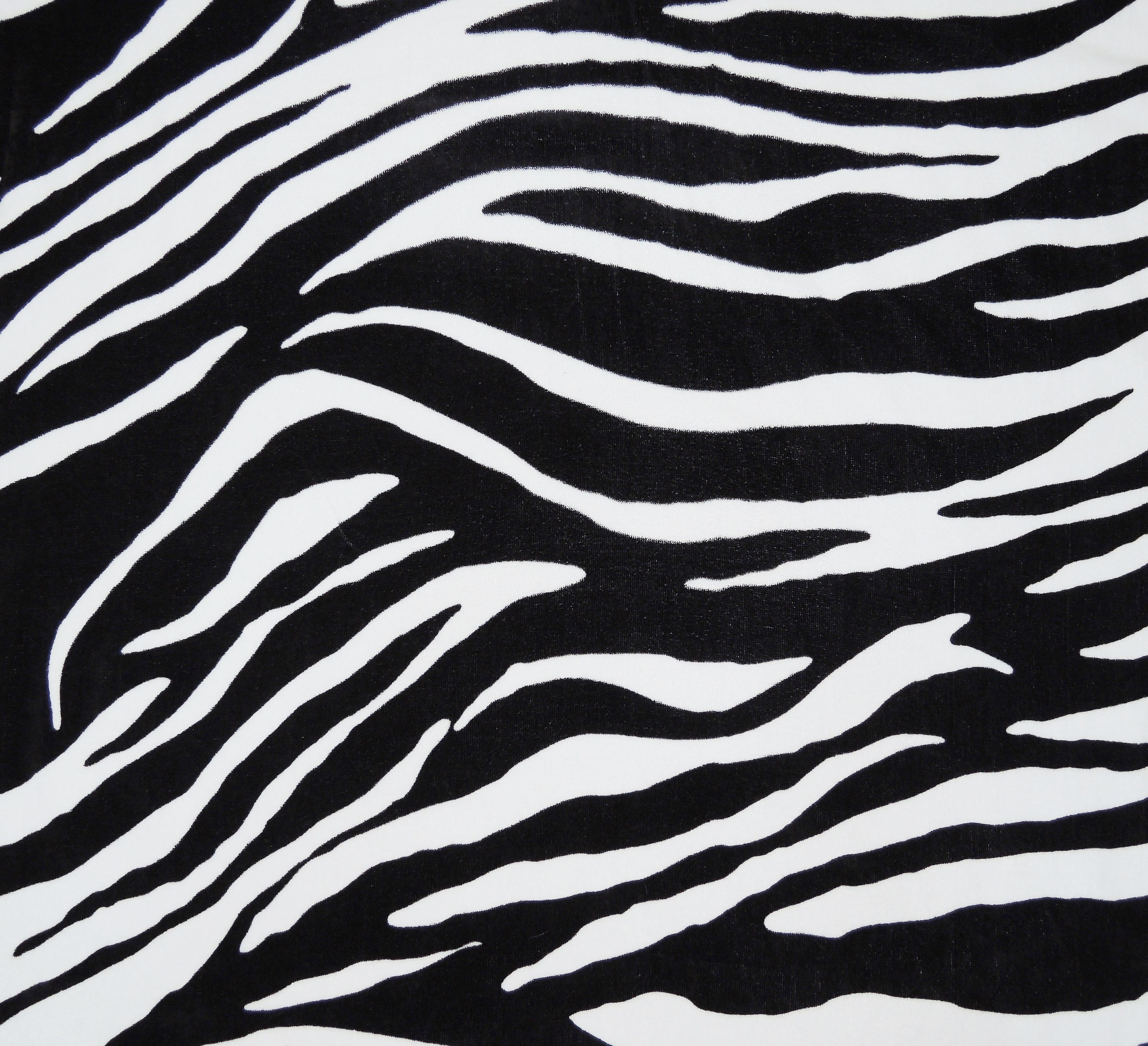 Zebra Print Wallpapers - 4k, HD Zebra Print Backgrounds on WallpaperBat