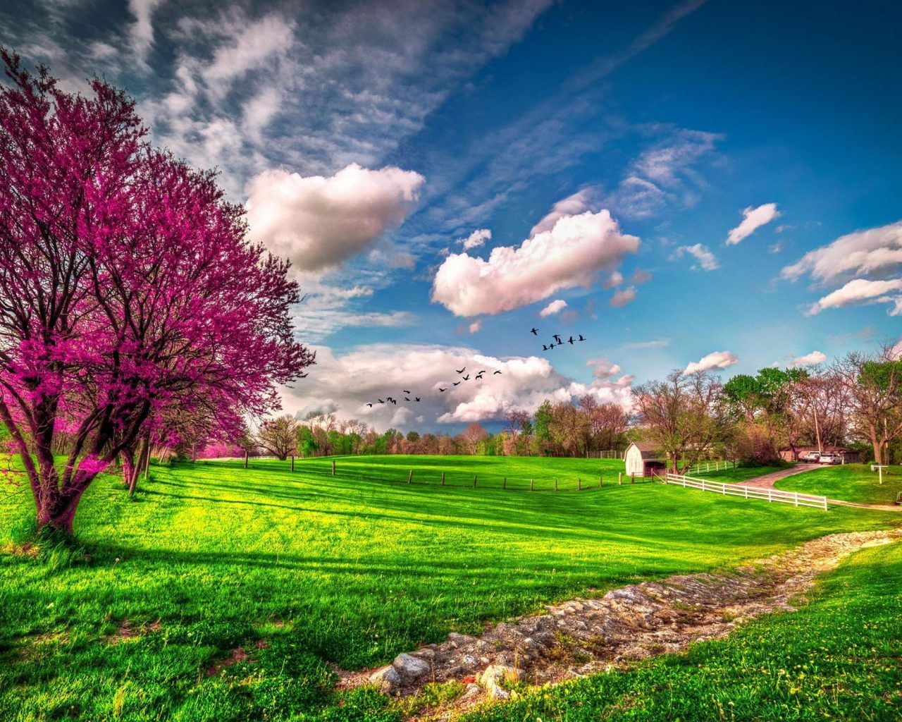 Spring Farm Desktop Wallpapers - 4k, HD Spring Farm Desktop Backgrounds ...