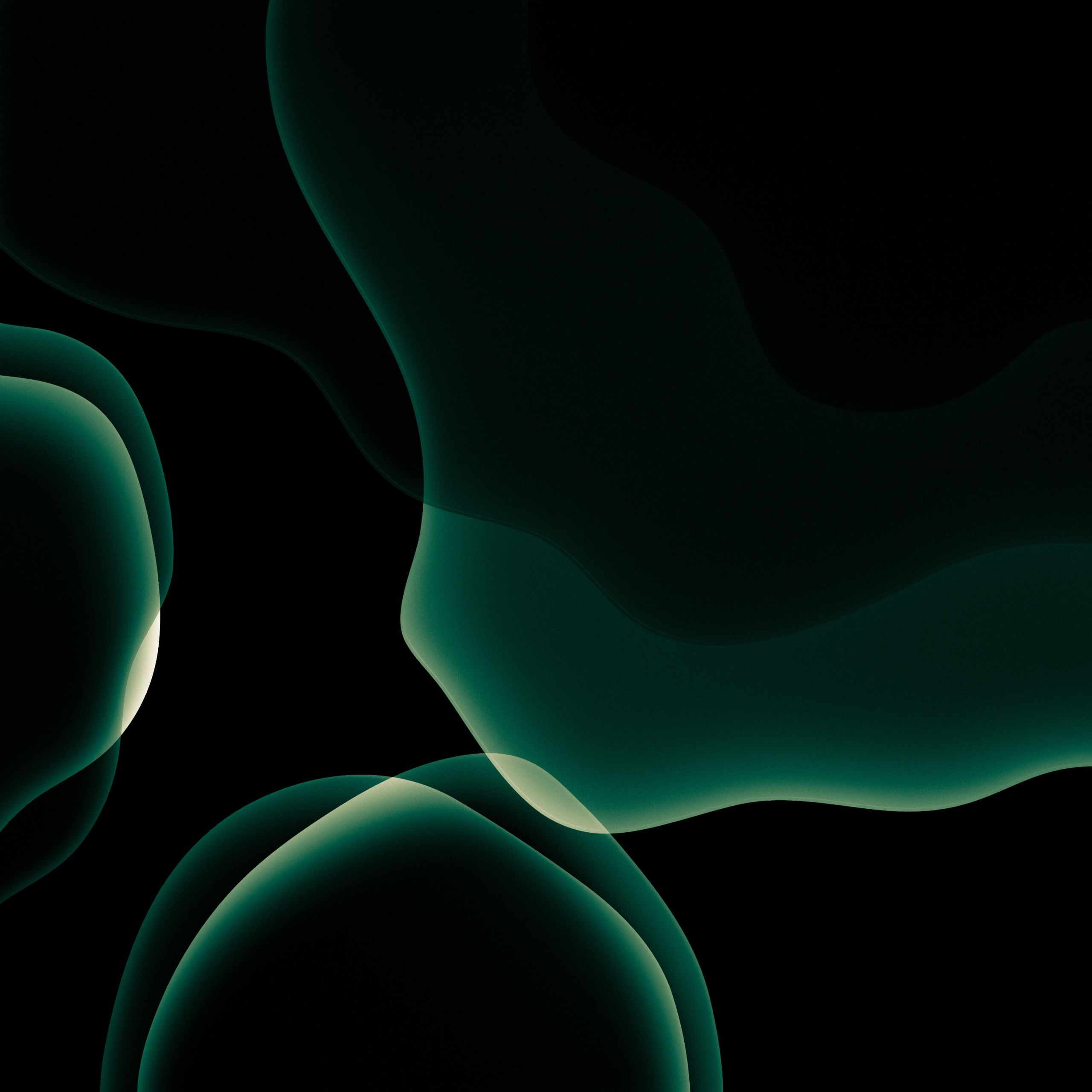 Black Green Wallpapers - 4k, HD Black Green Backgrounds on WallpaperBat