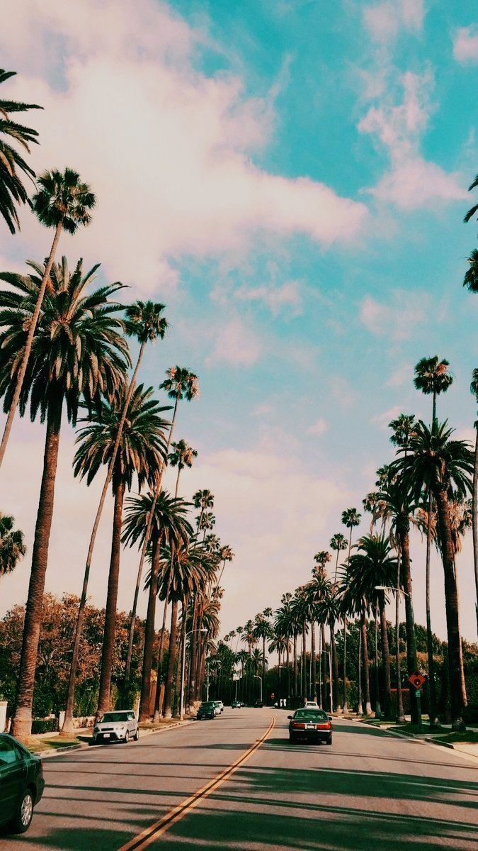 Beverly Hills Wallpapers - 4k, HD Beverly Hills Backgrounds on WallpaperBat