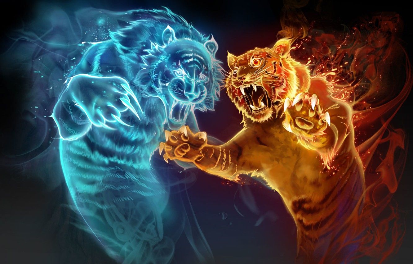 Fire Tiger Wallpapers - 4k, HD Fire Tiger Backgrounds on WallpaperBat