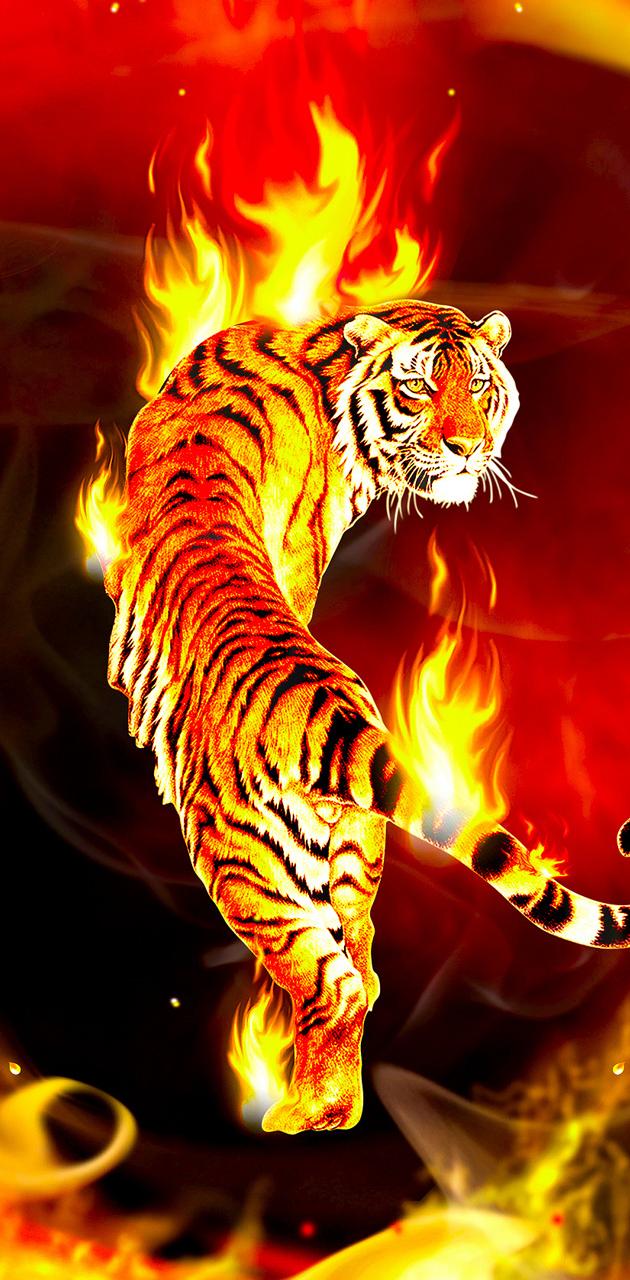 Fire Tiger Wallpapers - 4k, HD Fire Tiger Backgrounds on WallpaperBat