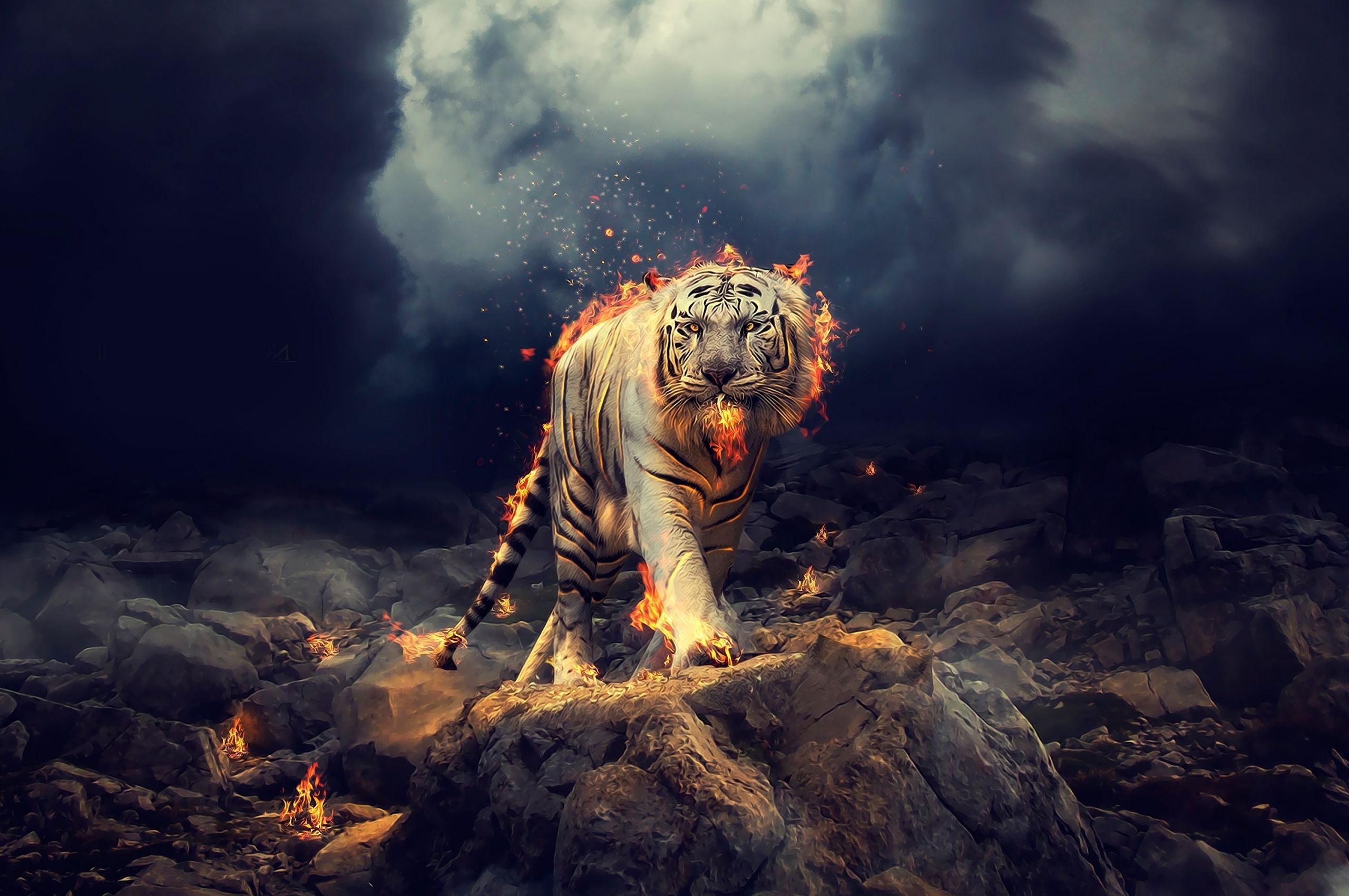Fire Tiger Wallpapers - 4k, HD Fire Tiger Backgrounds on WallpaperBat