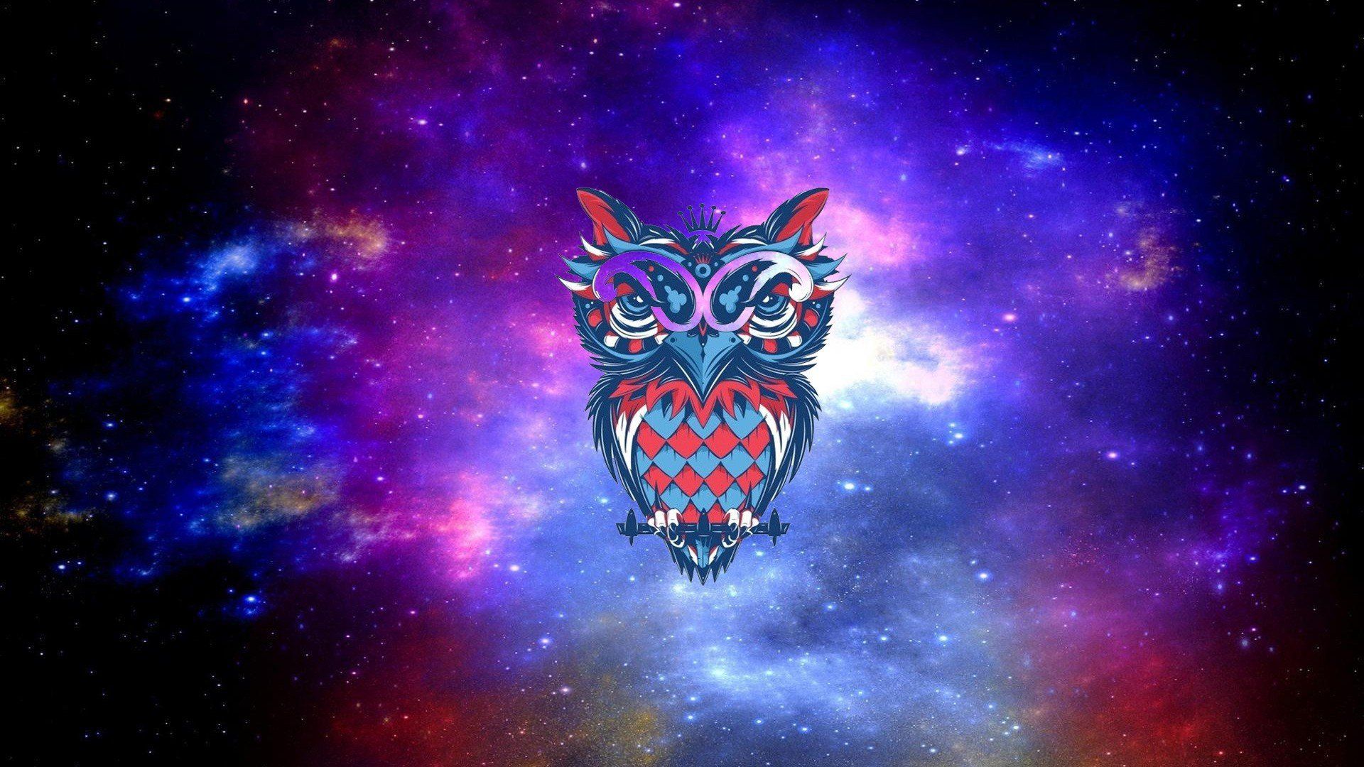 Drawing Owl Wallpapers - 4k, HD Drawing Owl Backgrounds On WallpaperBat