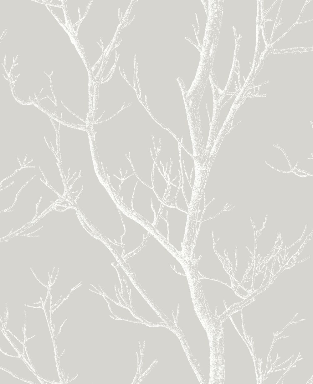 White Tree Wallpapers - 4k, HD White Tree Backgrounds on WallpaperBat