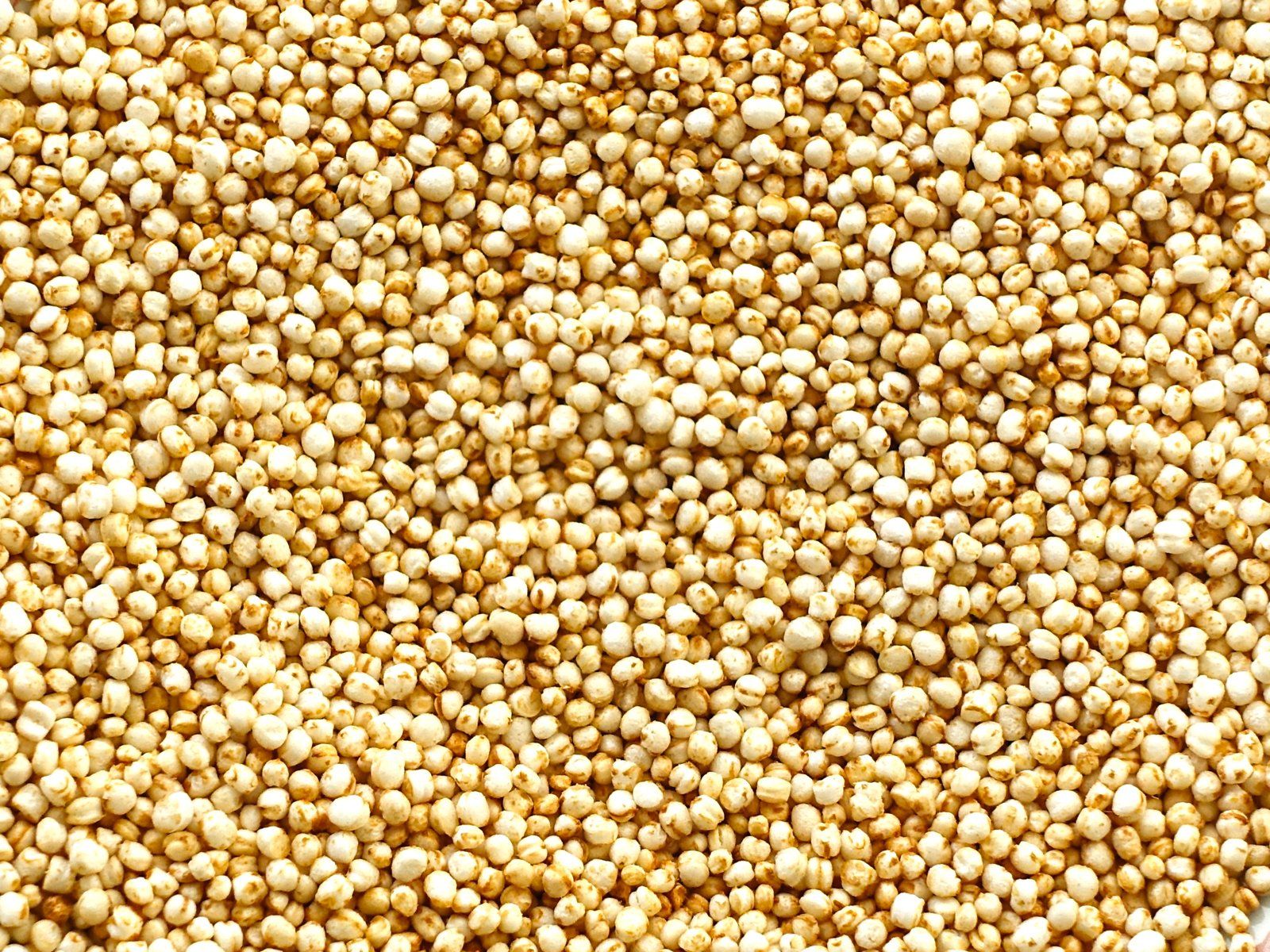 Proporcion quinoa agua Proporcion quinoa agua