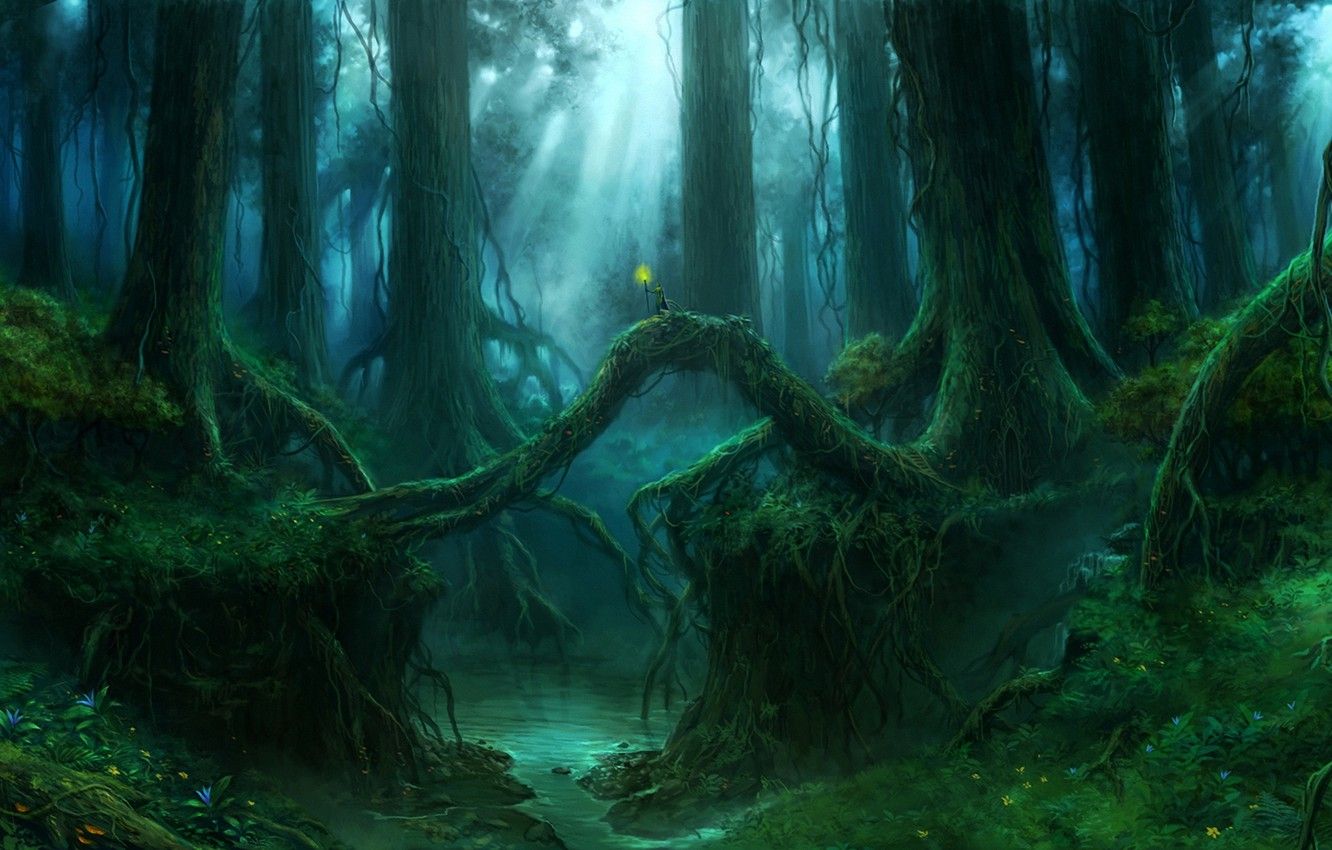 Giant Forest Wallpapers - 4k, HD Giant Forest Backgrounds on WallpaperBat