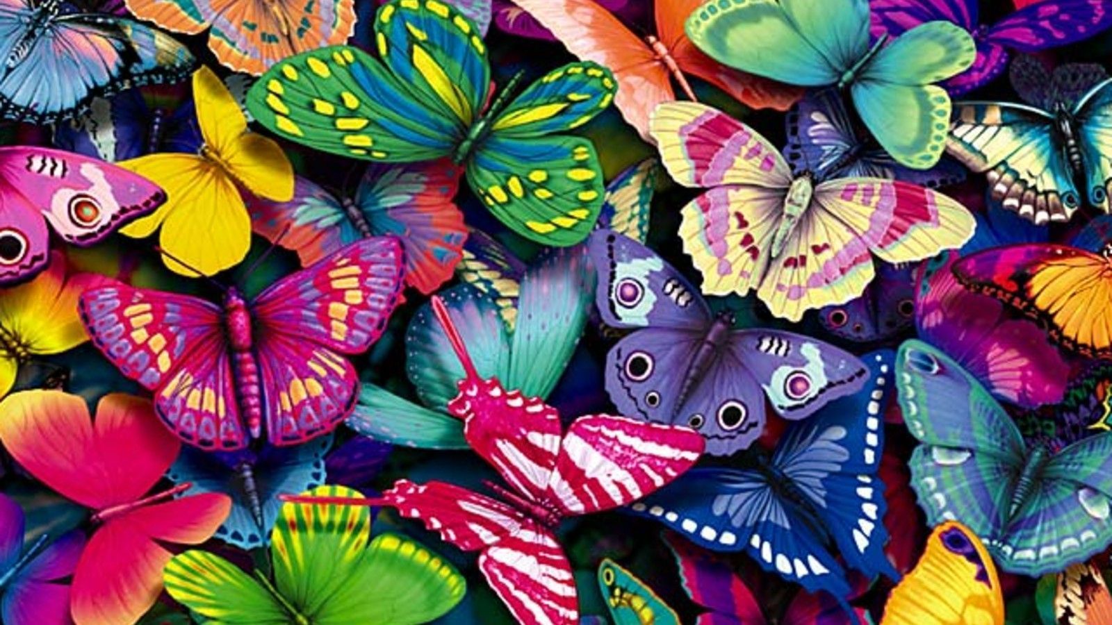 1600x900 Free Best Colorful Images - Butterfly Hd Wallpaper For Laptop - 1600x900  Wallpaper - teahub.io Wallpaper