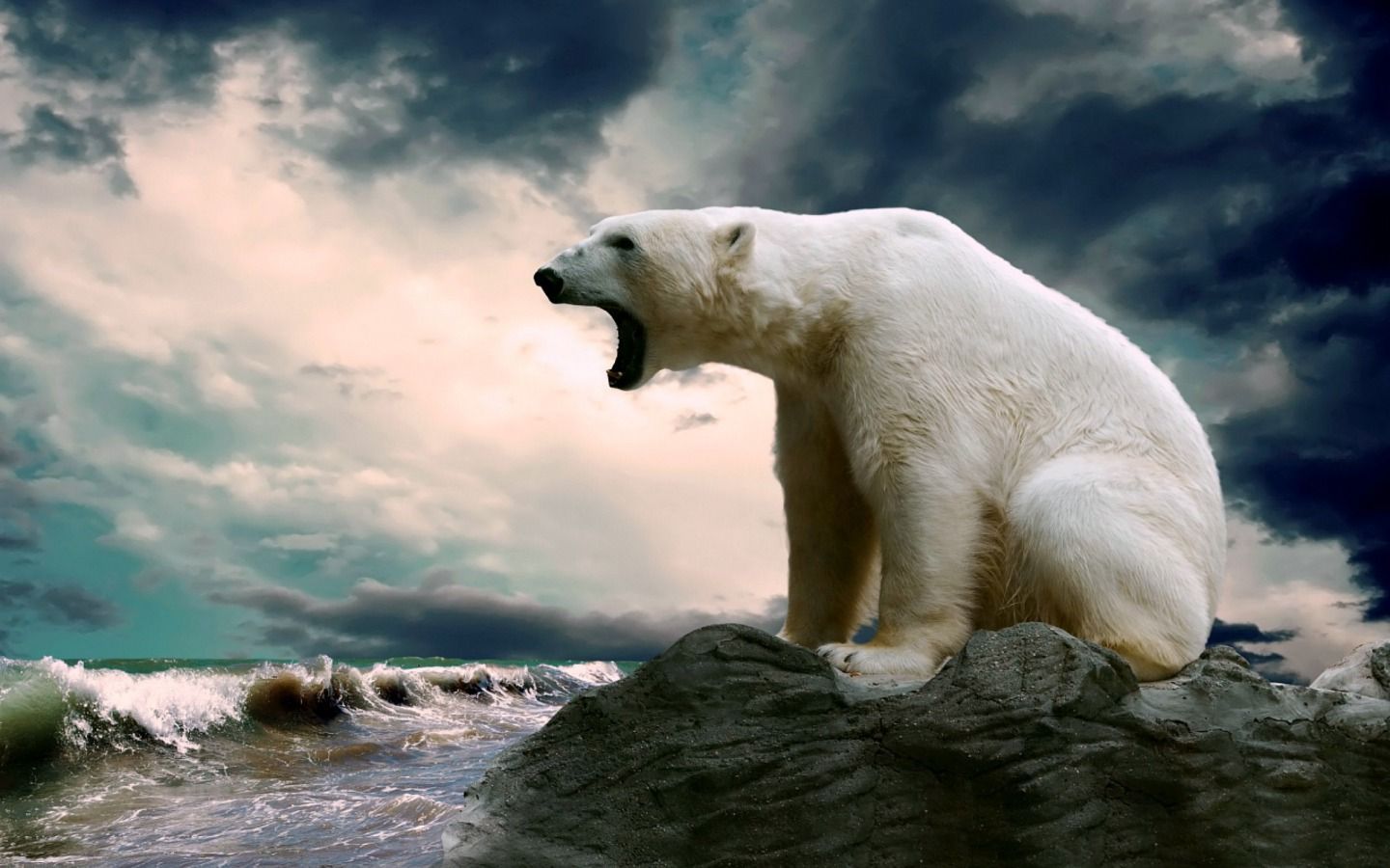 1440x900 Animals Wallpaper: Polar Bear. Polar bear wallpaper, Polar bear, Bear on WallpaperBat