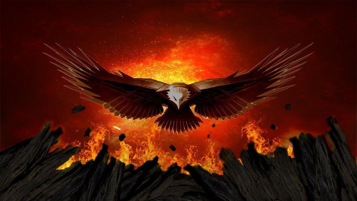 Fire Eagle Wallpapers - 4k, HD Fire Eagle Backgrounds on WallpaperBat