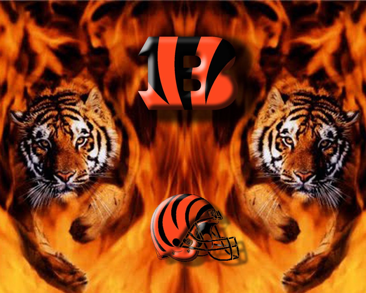 1080x2400 Resolution Cincinnati Bengals HD 2022 1080x2400 Resolution  Wallpaper - Wallpapers Den