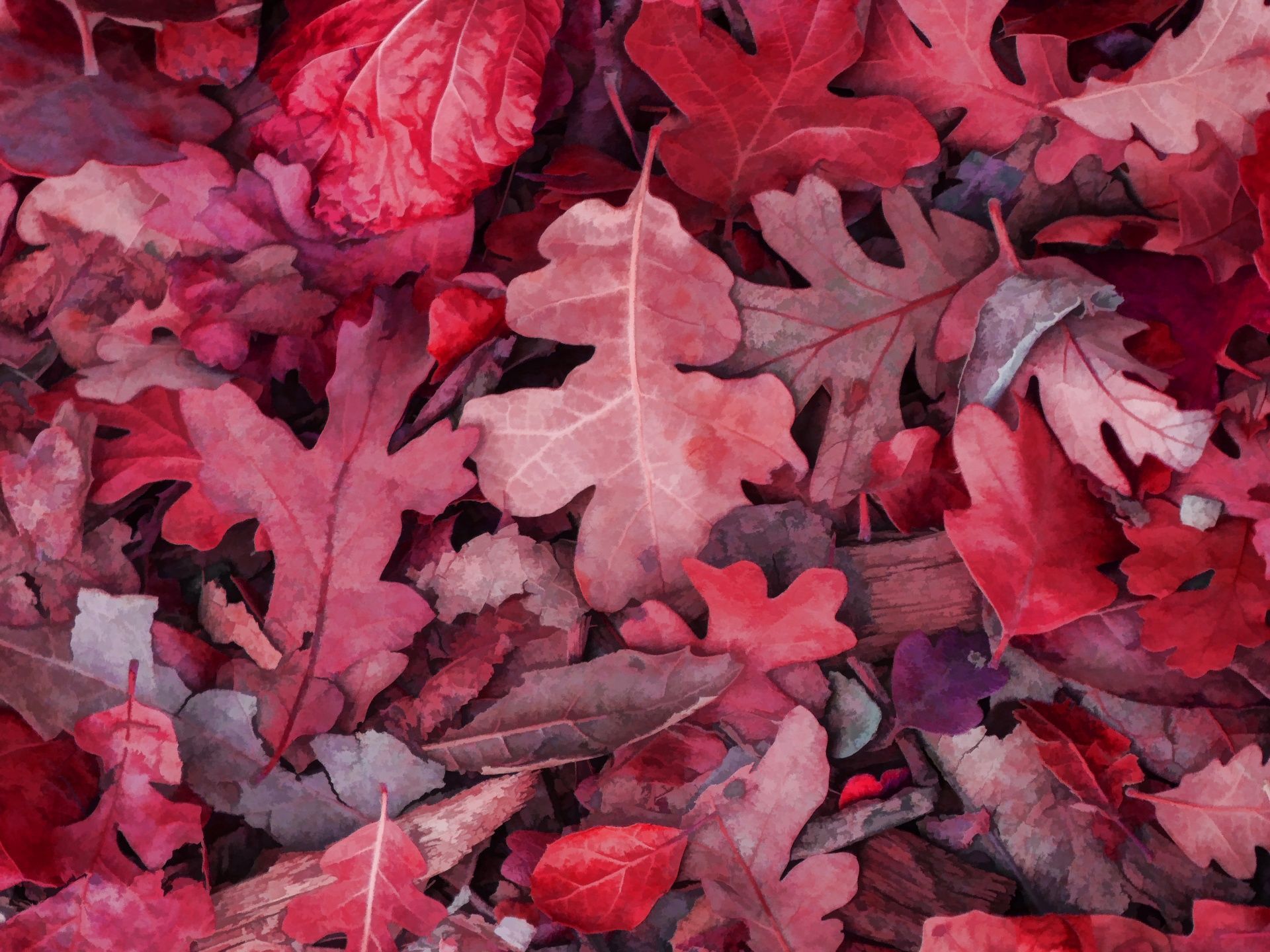 Осенние листья бордового цвета