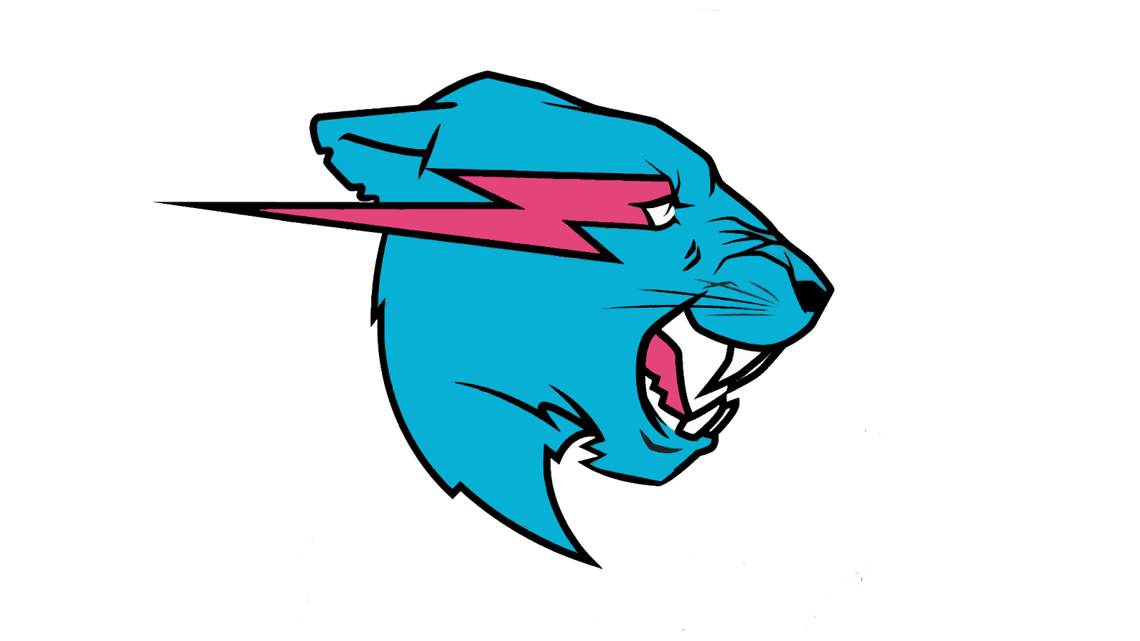 Mr Beast Wallpapers - 4k, HD Mr Beast Backgrounds on WallpaperBat