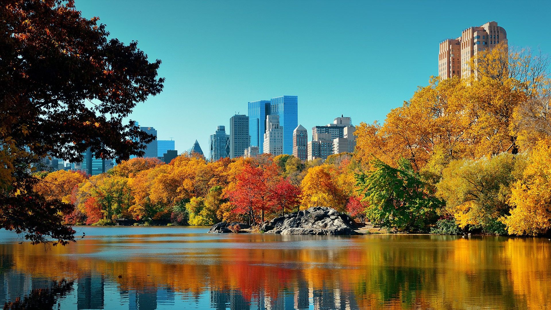 New York City Central Park Autumn Wallpapers - 4k, HD New York City 