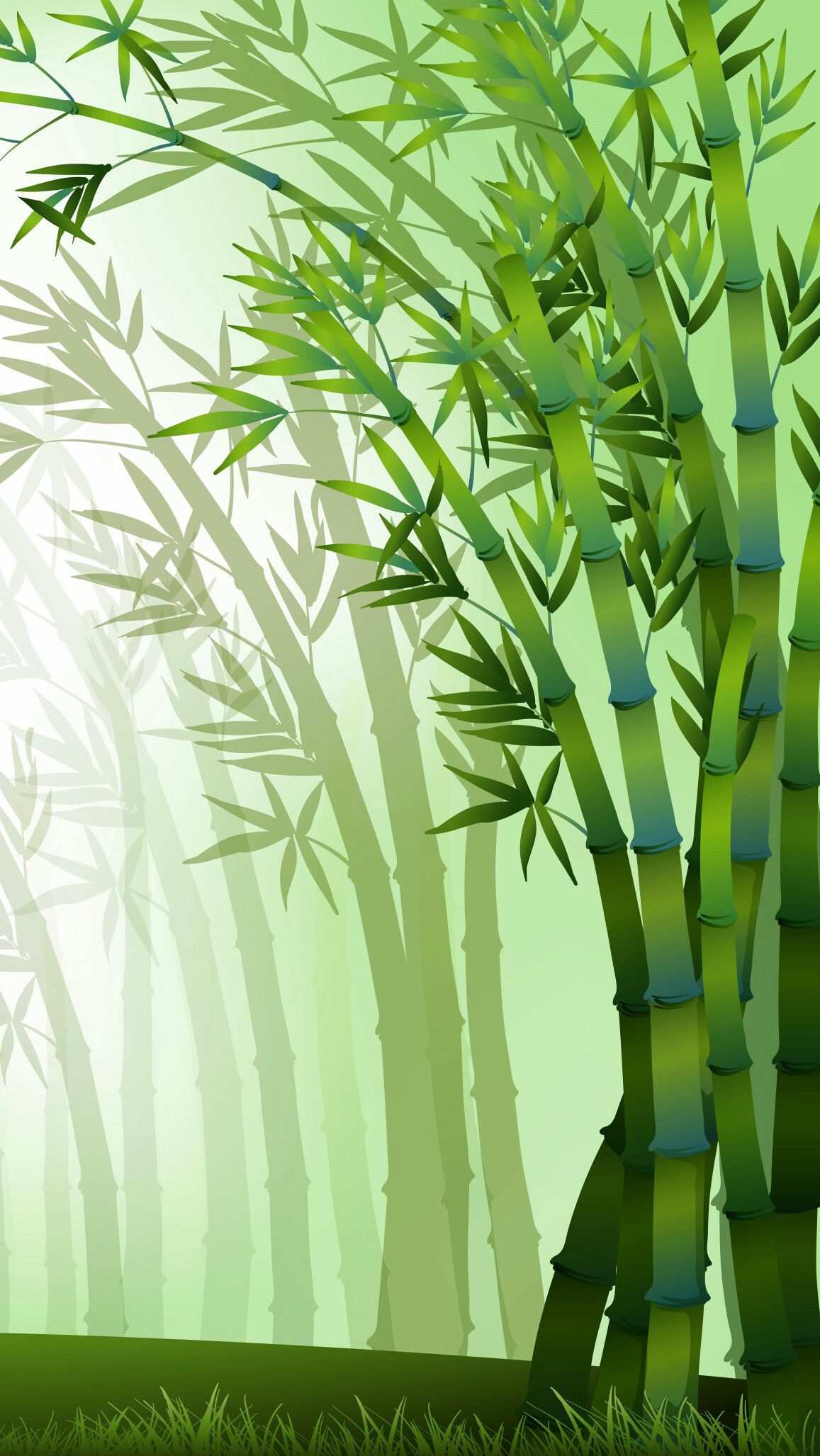 Bamboo iPhone Wallpapers - 4k, HD Bamboo iPhone Backgrounds on WallpaperBat