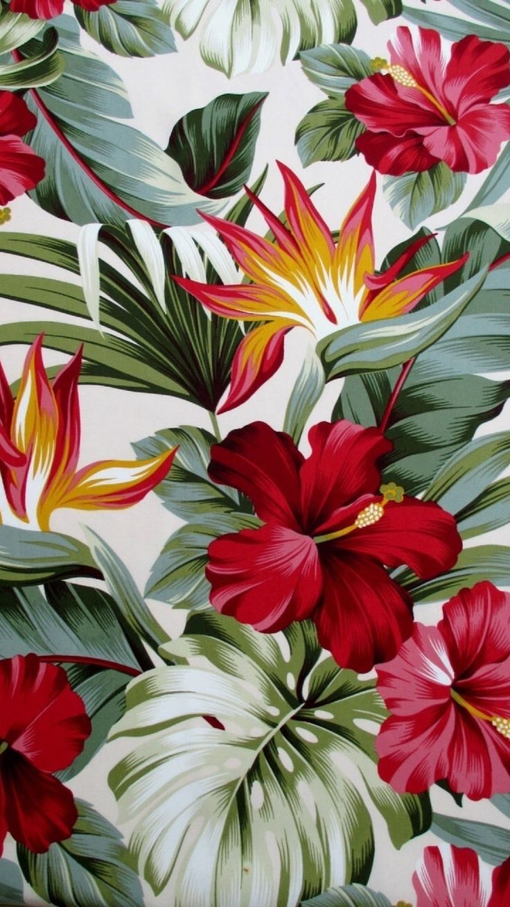 Tropical Flower Wallpapers 4k Hd Tropical Flower Backgrounds On Wallpaperbat