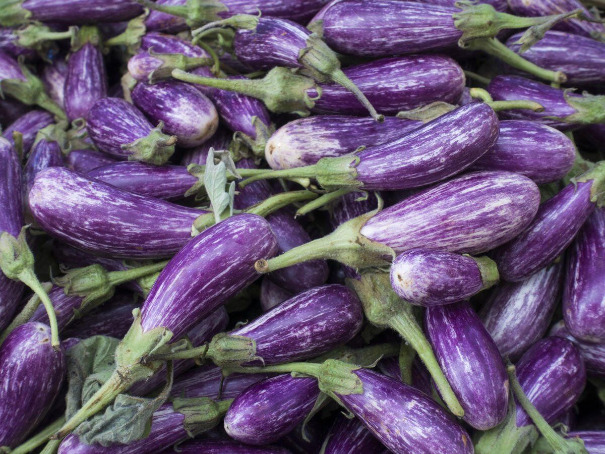 Eggplant Wallpapers - 4k, HD Eggplant Backgrounds on WallpaperBat