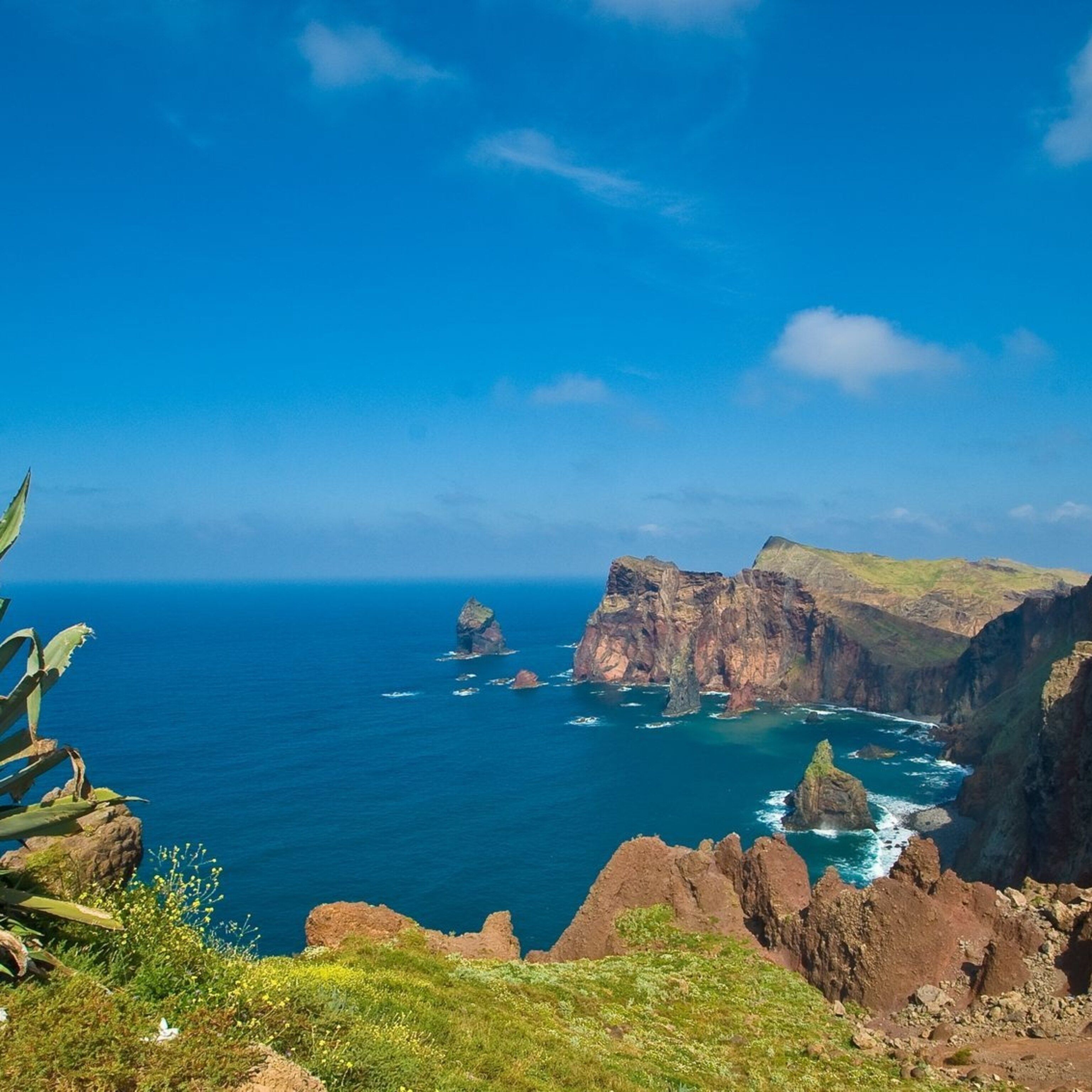 Madeira Wallpapers - 4k, HD Madeira Backgrounds on WallpaperBat