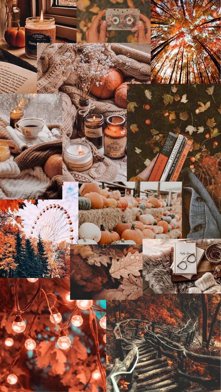 Aesthetic Fall Wallpapers - 4k, HD Aesthetic Fall Backgrounds on ...