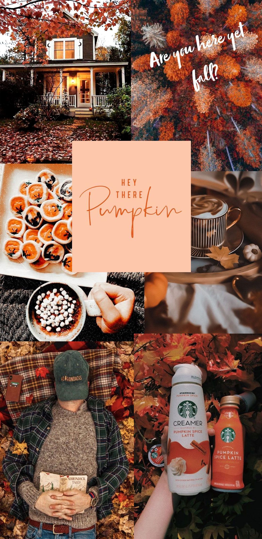 Fall Collage Wallpapers - 4k, HD Fall Collage Backgrounds on WallpaperBat