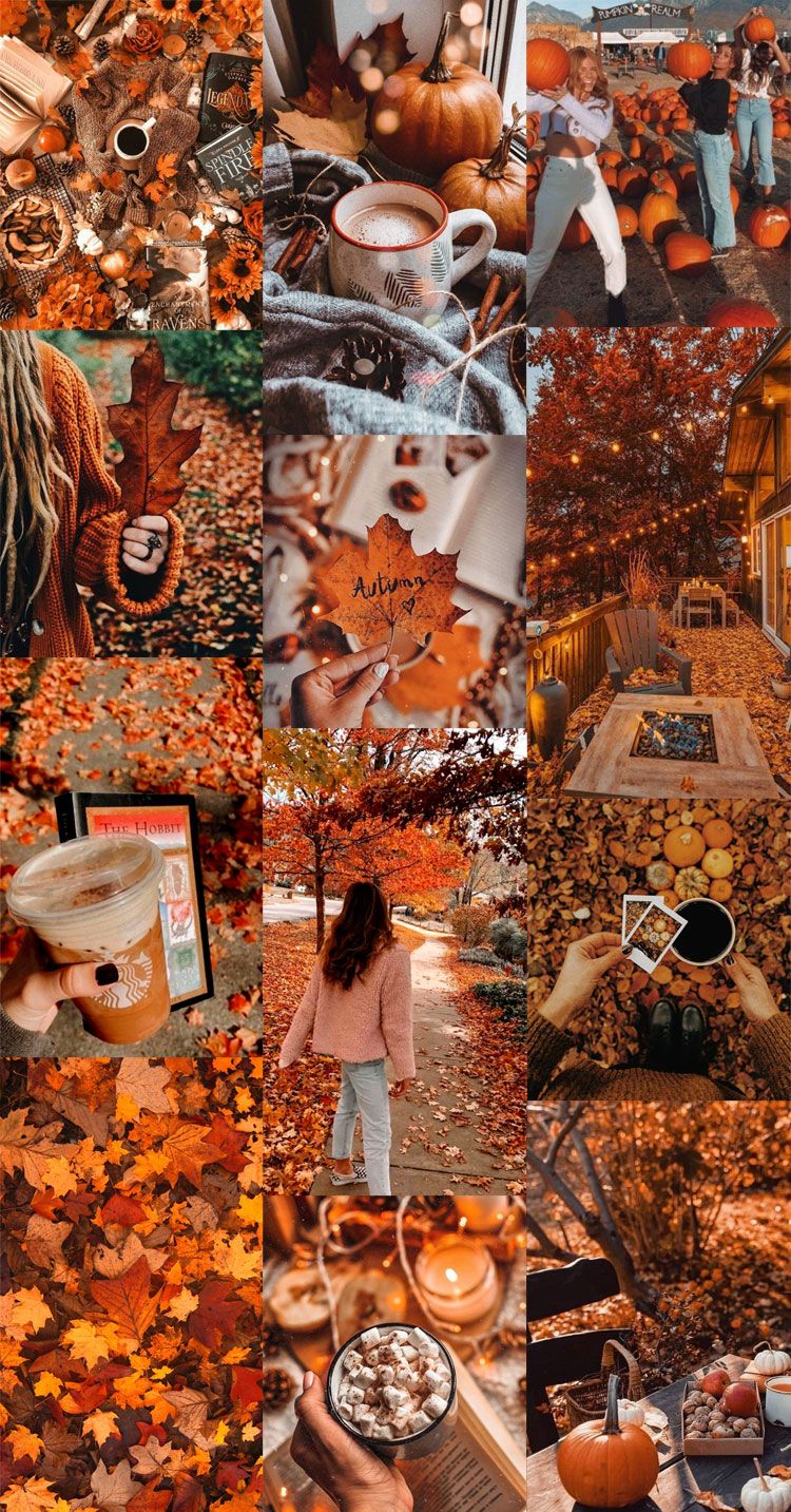 Cozy Autumn Wallpapers - 4k, HD Cozy Autumn Backgrounds on WallpaperBat