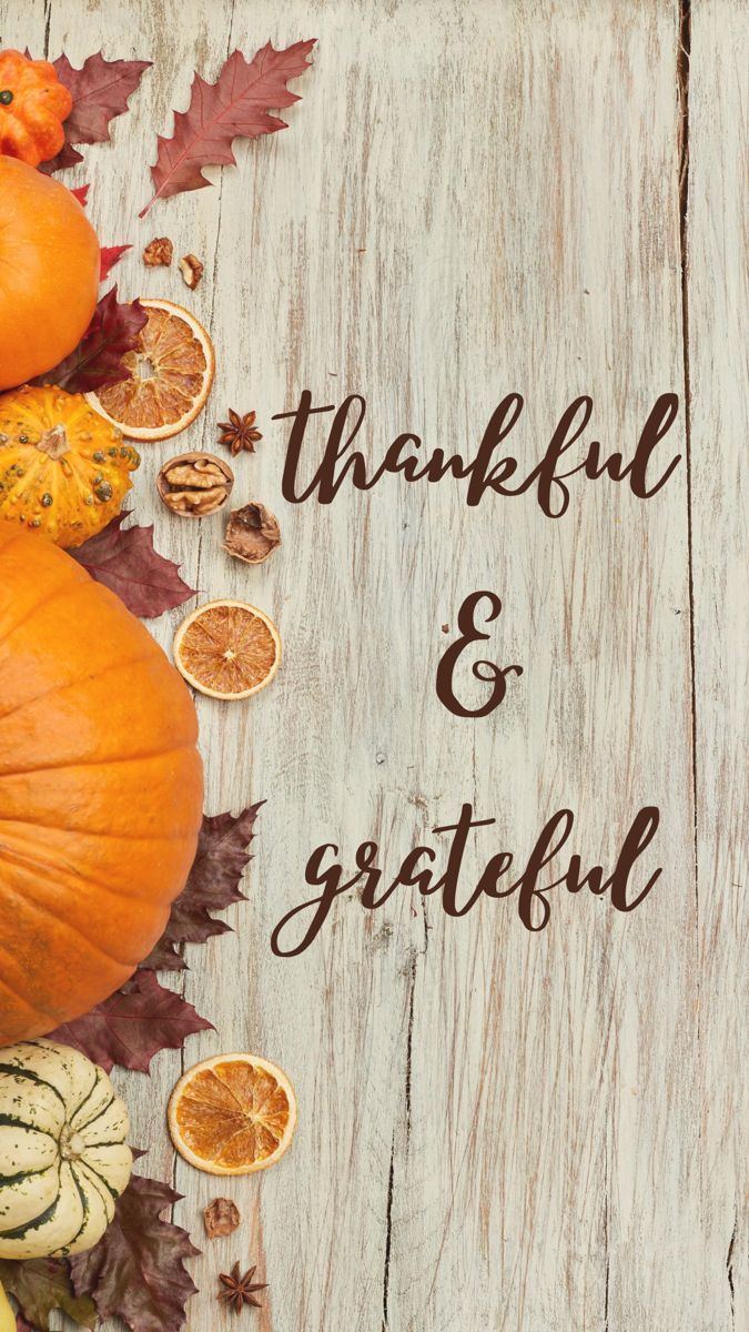 Thanksgiving Phone Wallpapers 4k, HD Thanksgiving Phone Backgrounds