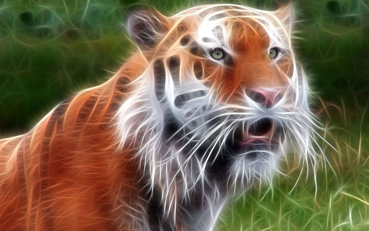 1280x800 Animal Wallpaper 8 － Animal Wallpaper Free Download - Wild on WallpaperBat
