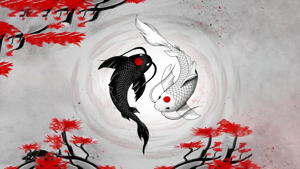 Koi Wallpapers 4k HD Koi Backgrounds On WallpaperBat