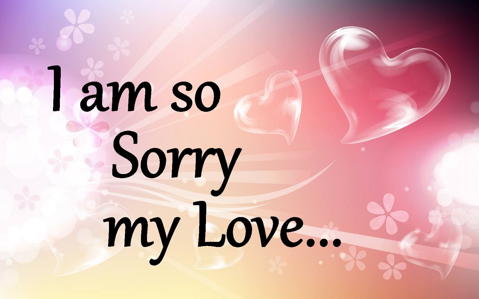 Sorry i love you. Sorry my Love. Sorry Love. Sorry for my Love. Sorry for lover.