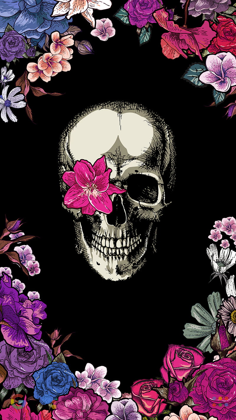 800x1422 Skull flowers, cute, go, owl, owls ... Wallpaper