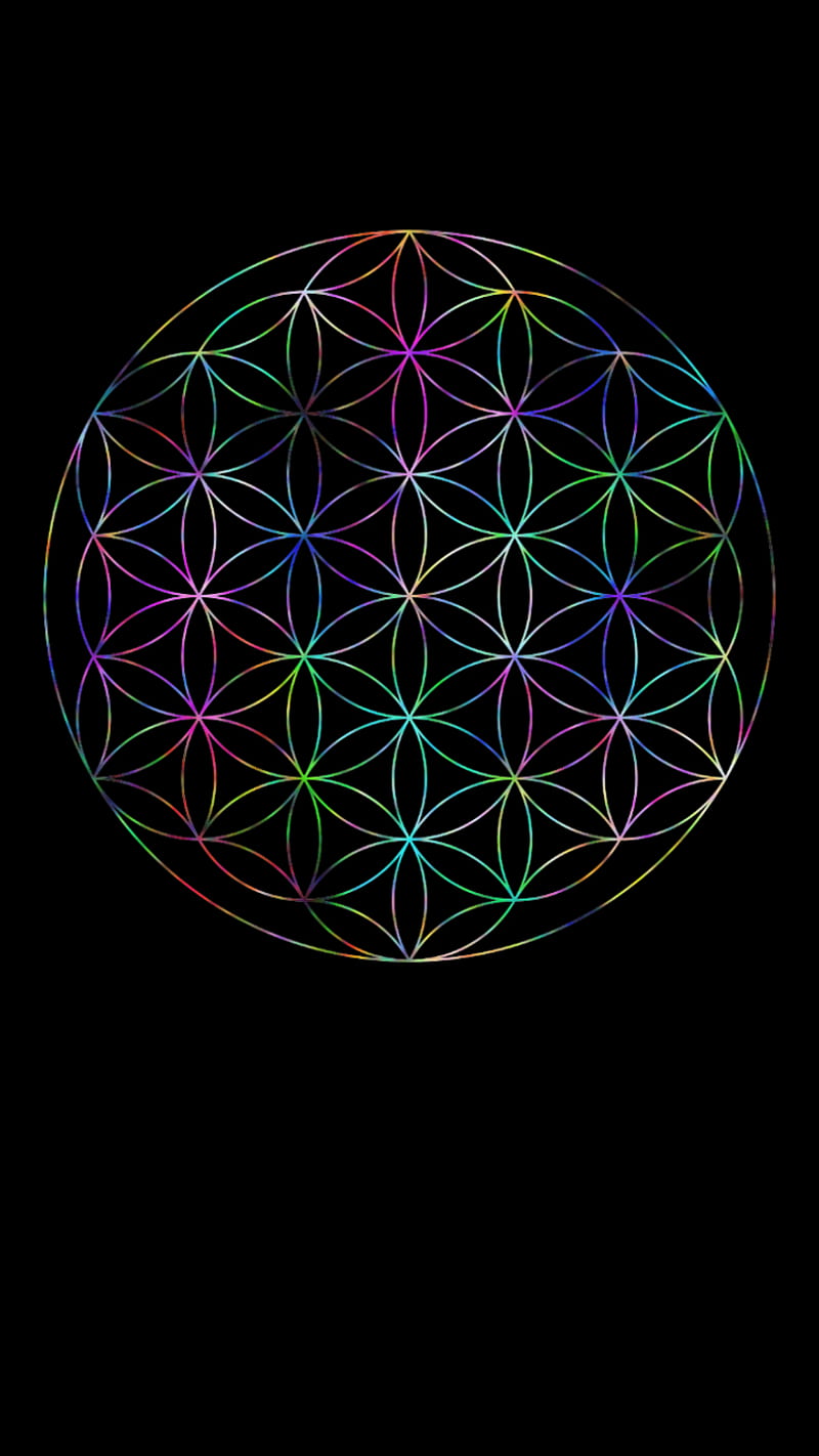 Flower Of Life Wallpapers - 4k, HD Flower Of Life Backgrounds On ...