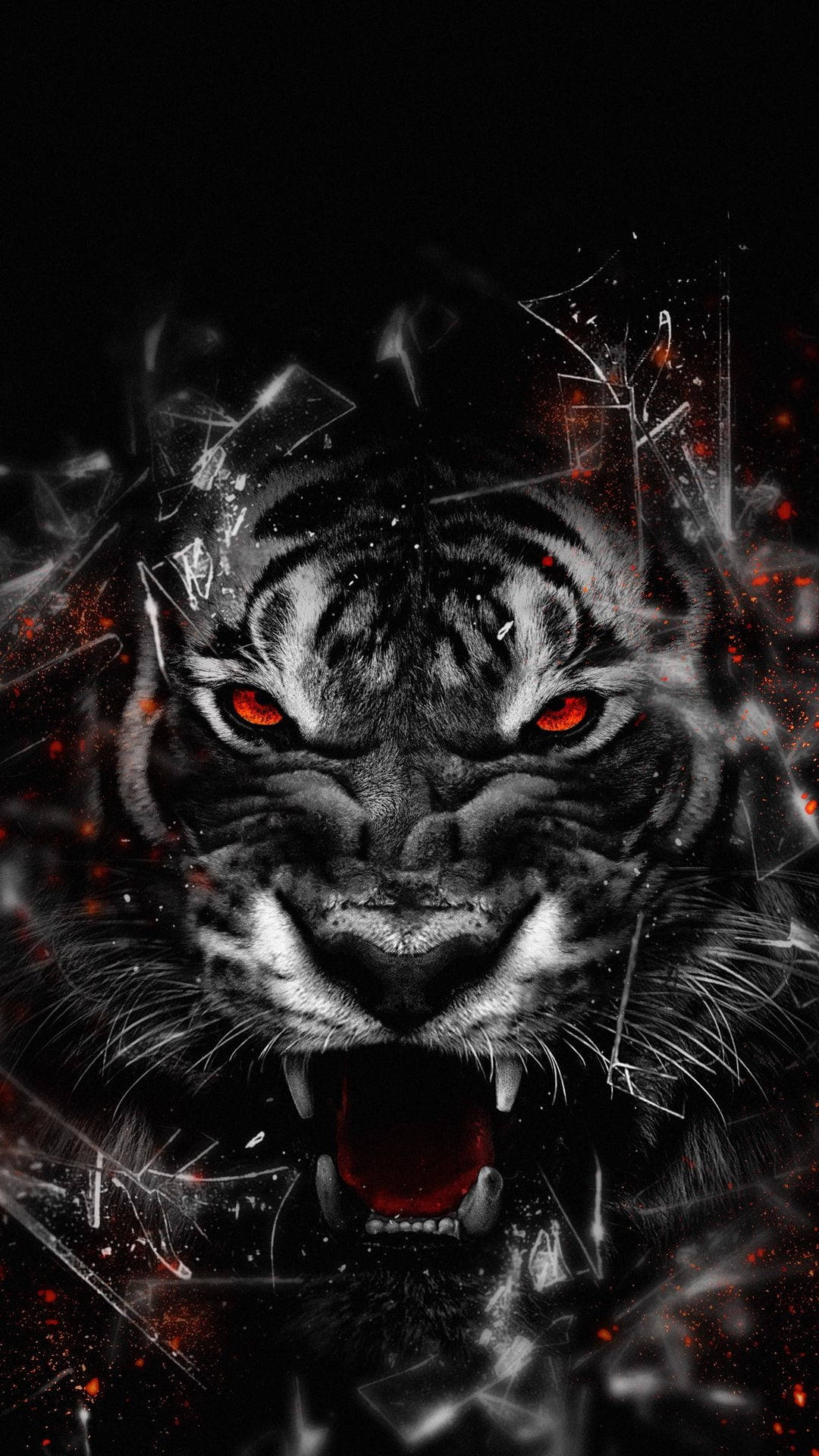 Black Tiger Wallpapers - 4k, HD Black Tiger Backgrounds on WallpaperBat