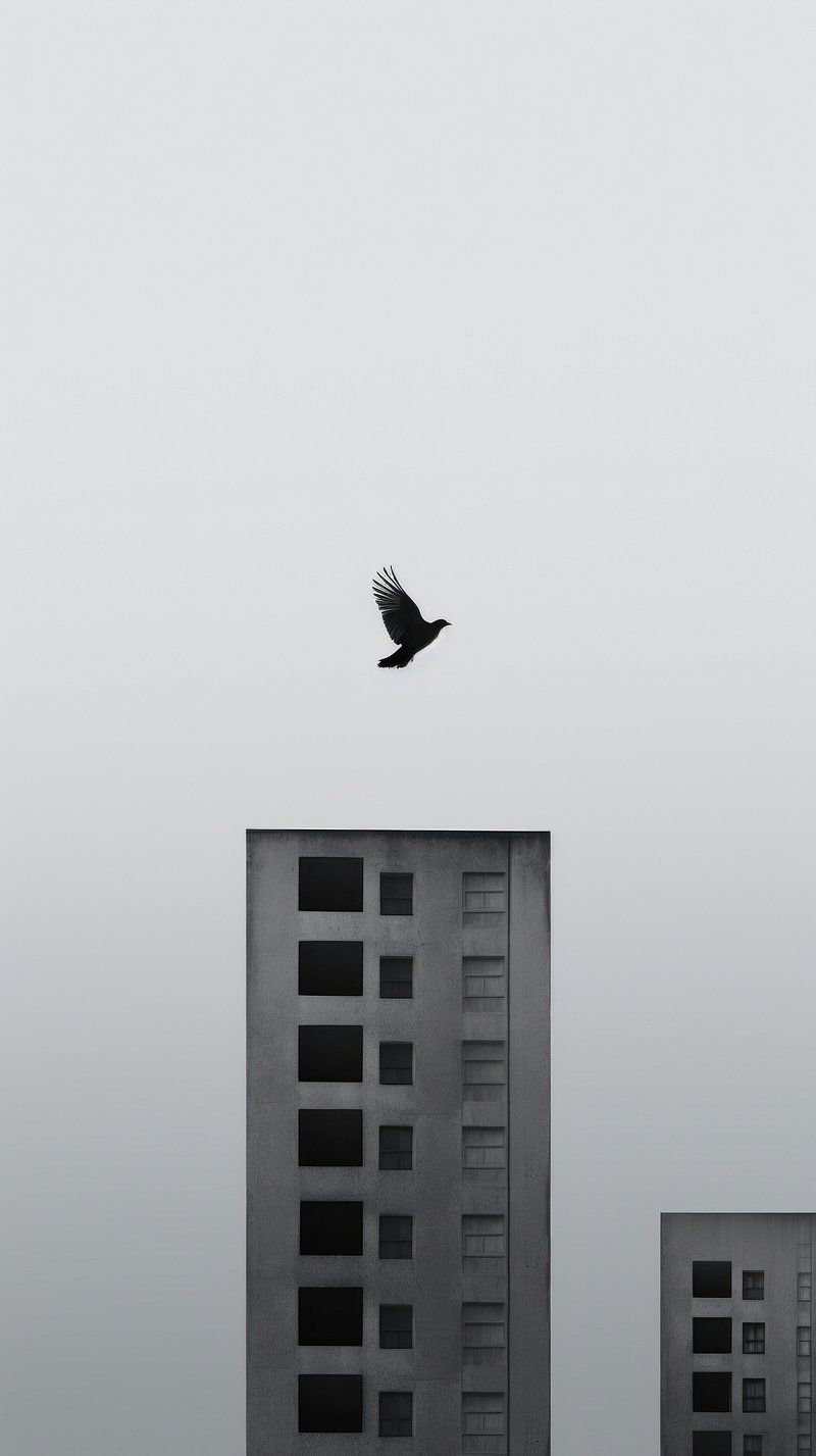 Gray Aesthetic Wallpapers - 4k, HD Gray Aesthetic Backgrounds on