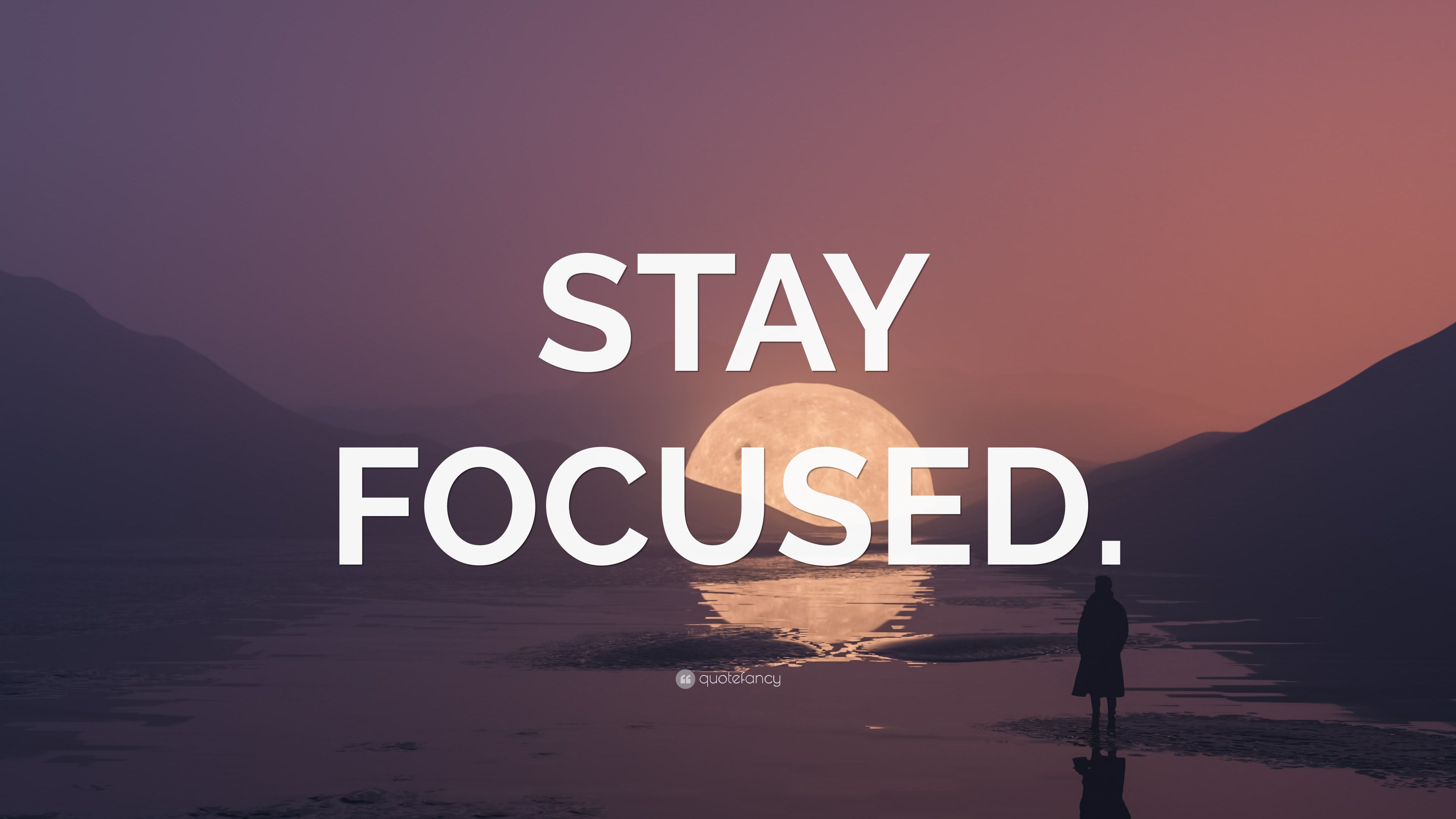 Stay Focused Wallpapers - 4k, HD Stay Focused Backgrounds on WallpaperBat