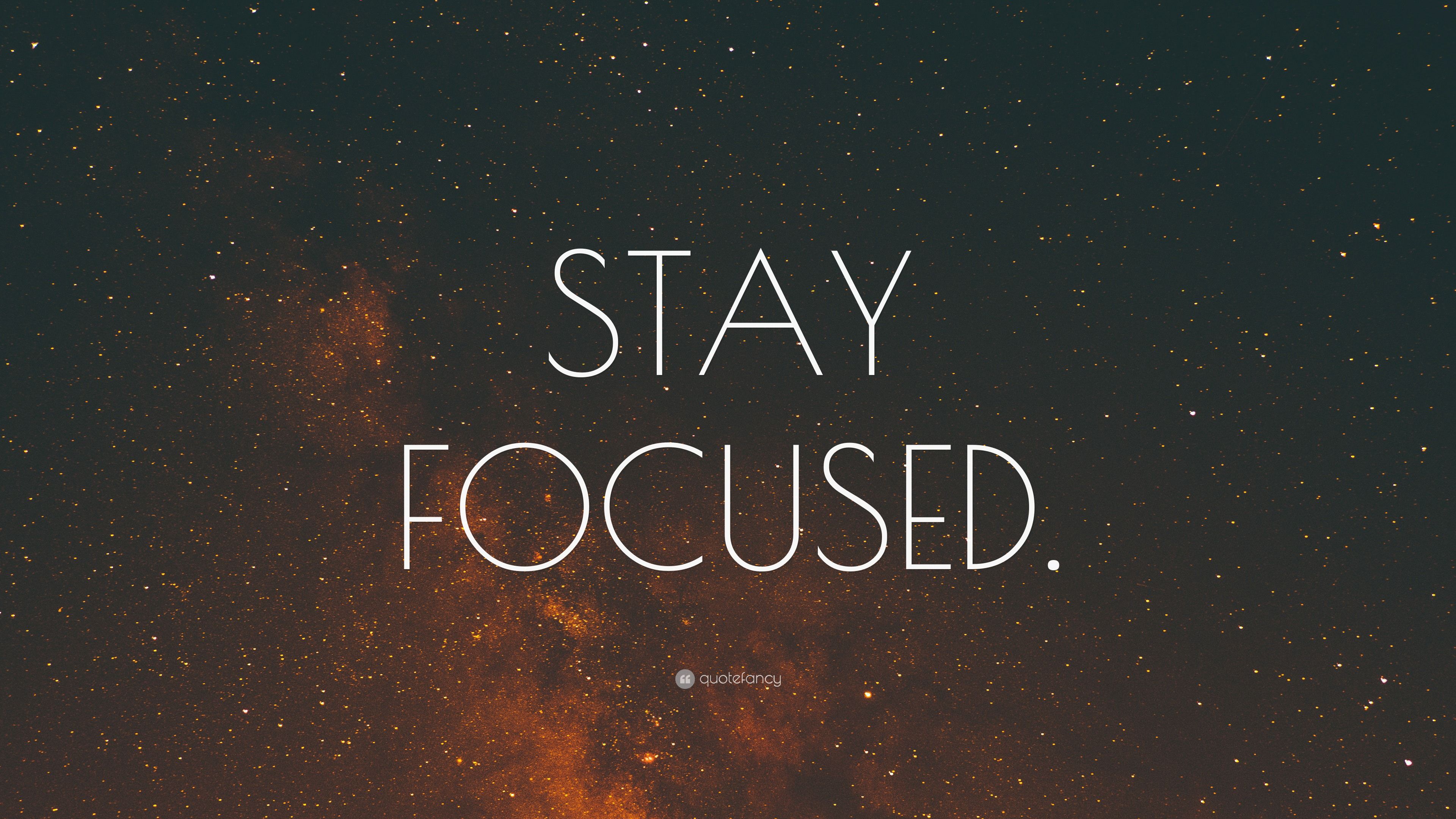 Stay Focused Wallpapers - 4k, HD Stay Focused Backgrounds on WallpaperBat