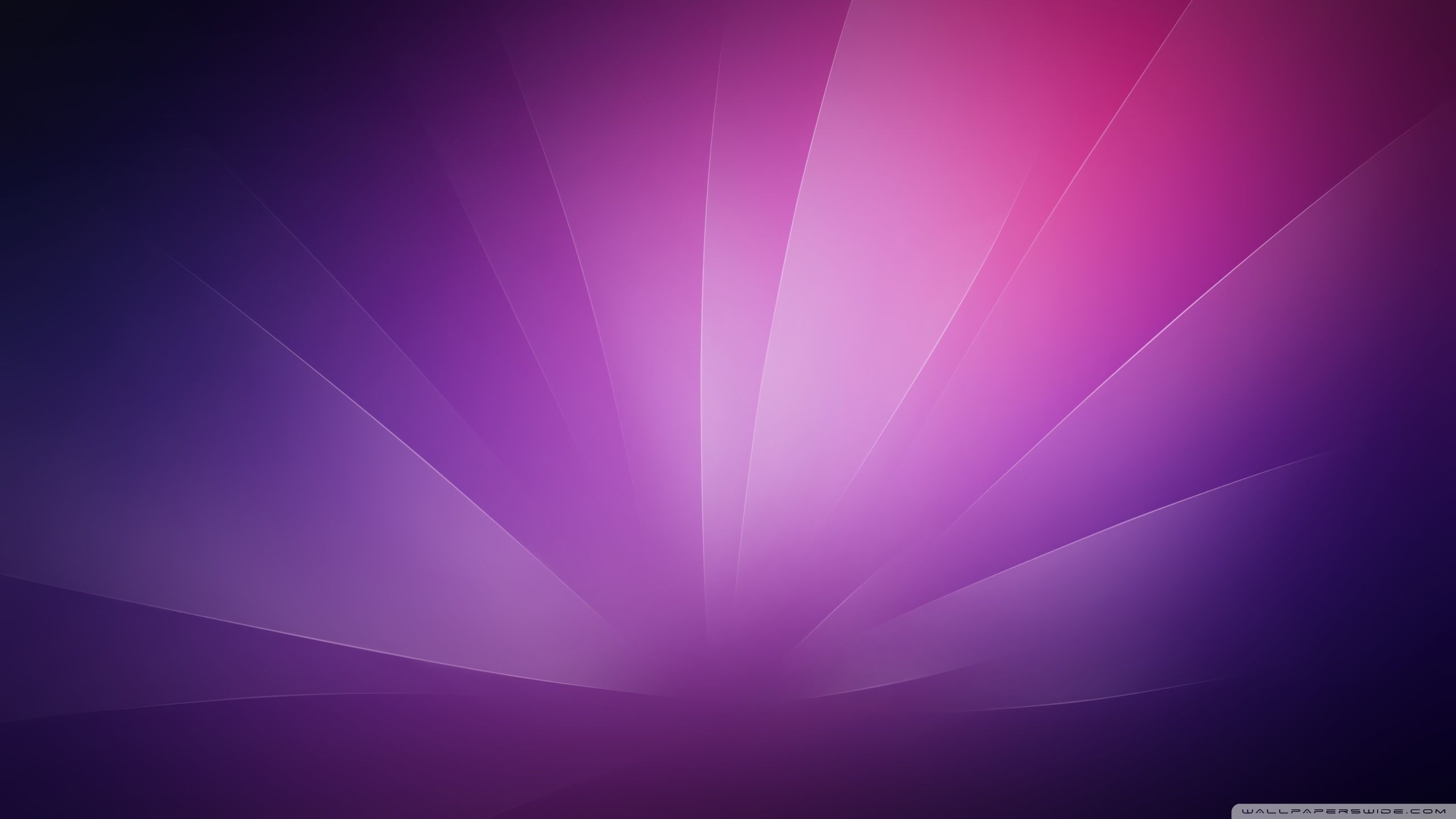 2560x1440 Purple Minimalist Background ❤ 4K HD Desktop Wallpaper for 4K ... Wallpaper