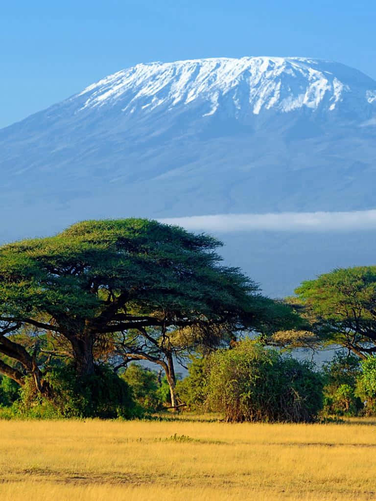 Kilimanjaro Wallpapers - 4k, HD Kilimanjaro Backgrounds On WallpaperBat