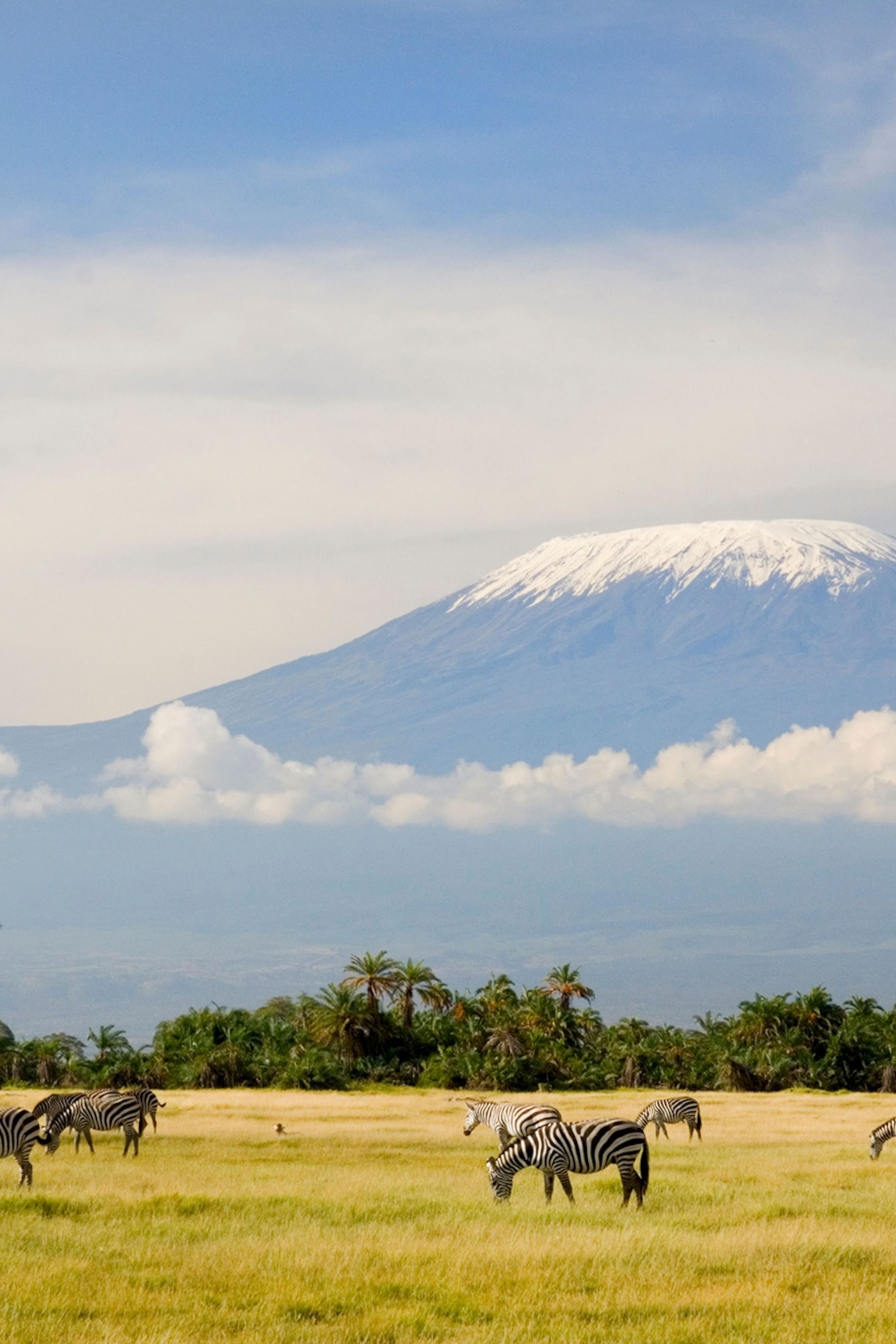 Kilimanjaro Wallpapers - 4k, HD Kilimanjaro Backgrounds on WallpaperBat