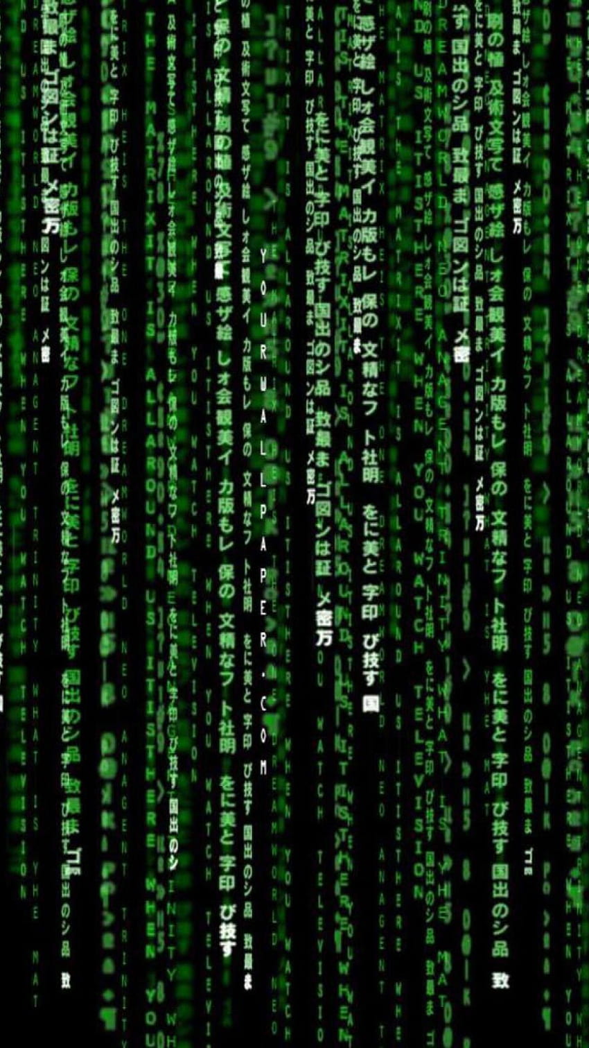Coding Phone Wallpapers - 4k, HD Coding Phone Backgrounds on WallpaperBat