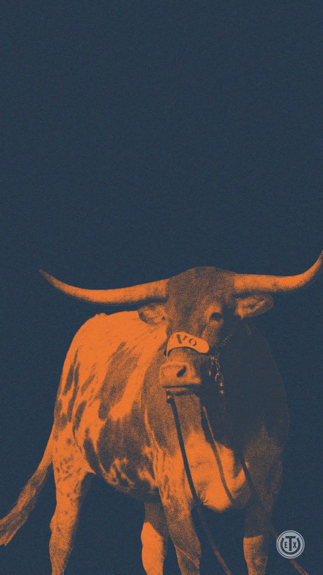 Texas Longhorns iPhone Wallpapers 4k, HD Texas Longhorns iPhone
