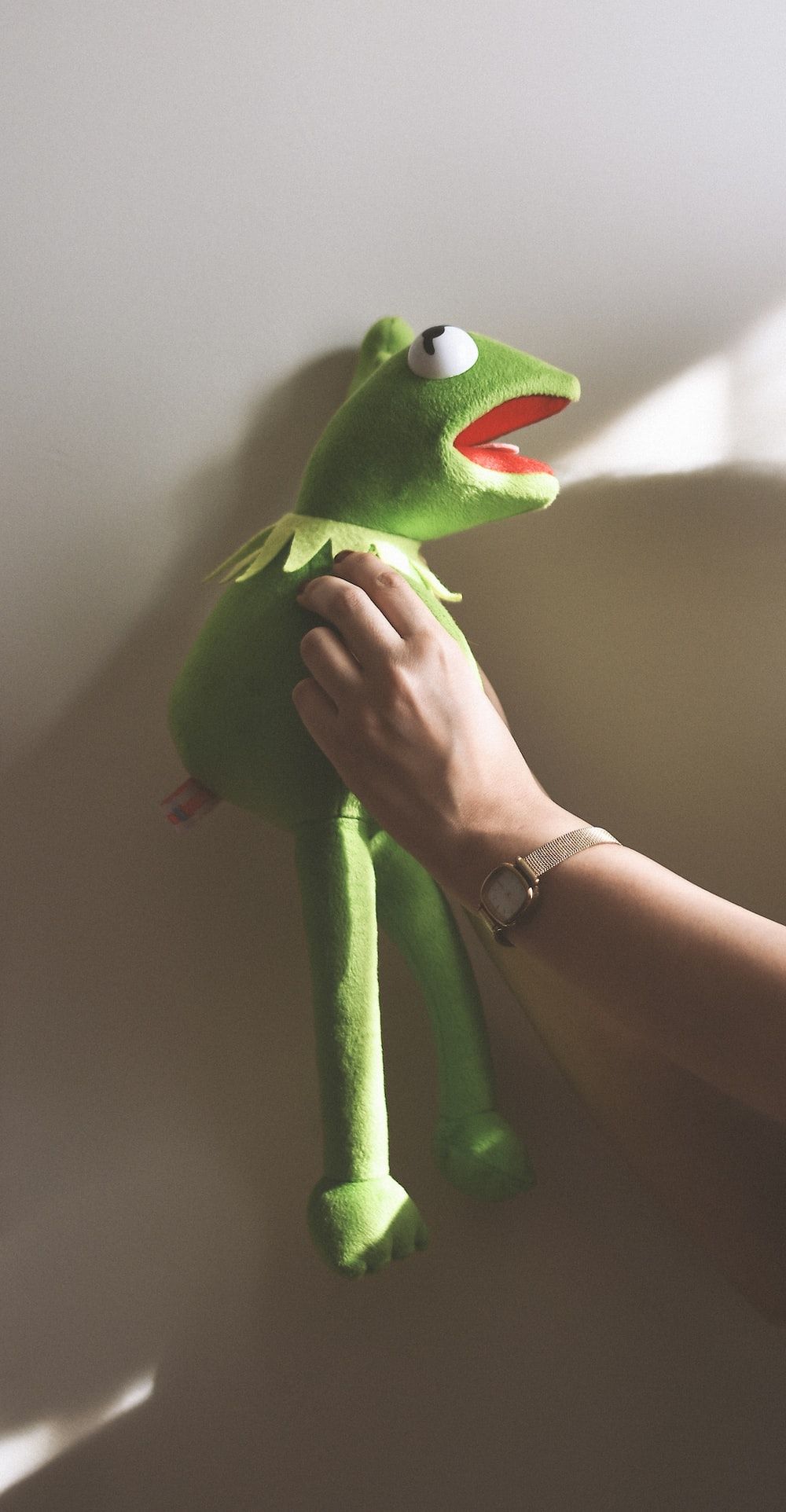 Kermit Wallpapers - 4k, HD Kermit Backgrounds on WallpaperBat